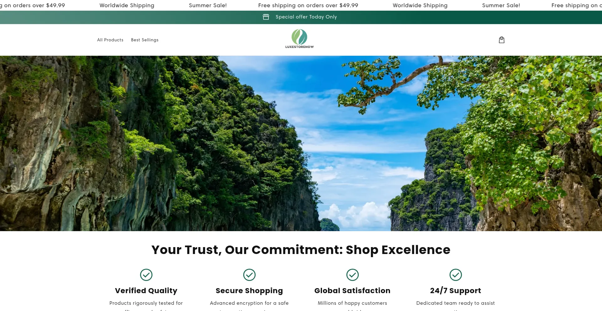 Website screenshot of Luxestorenow.com
