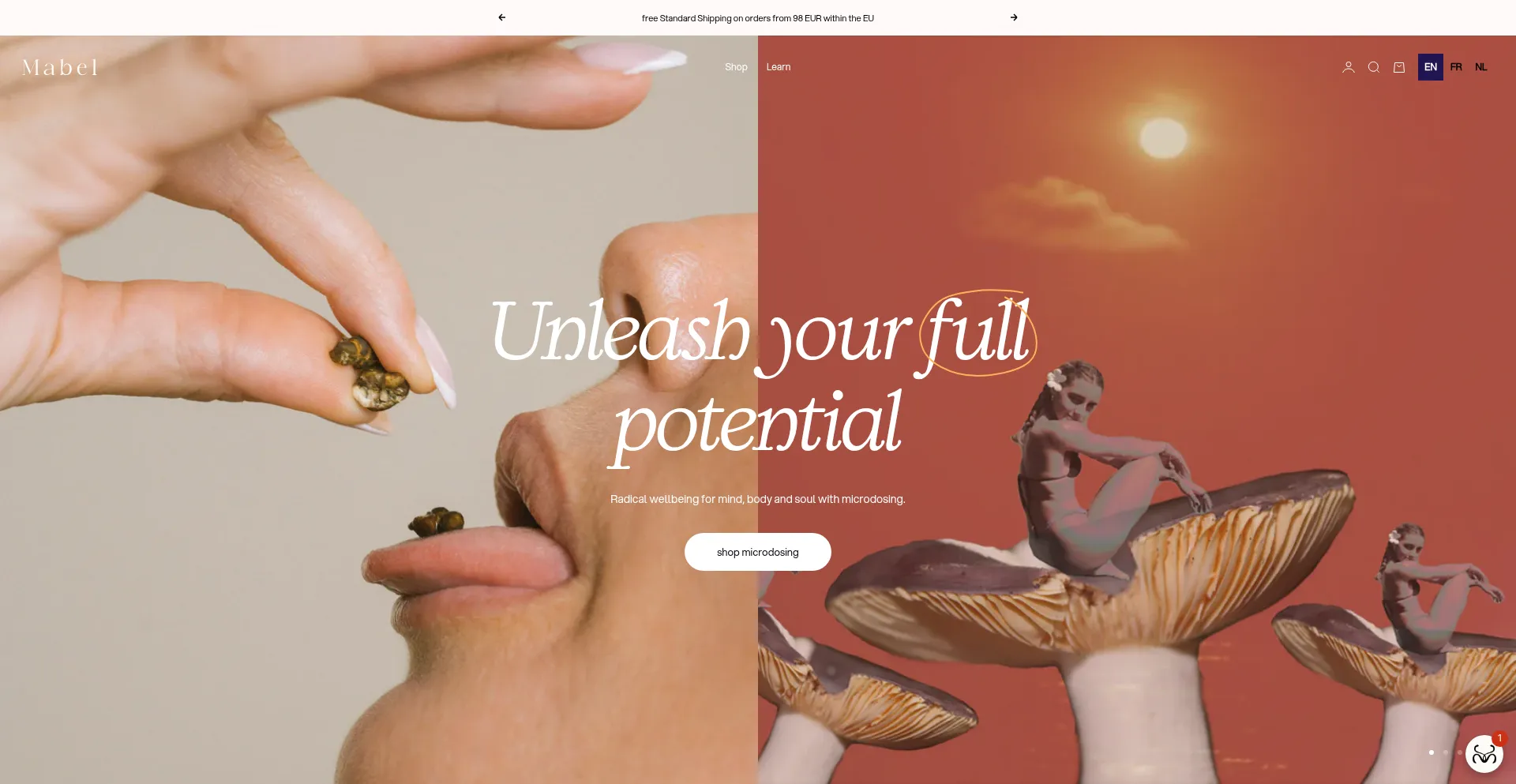 Website screenshot of Mabel.life