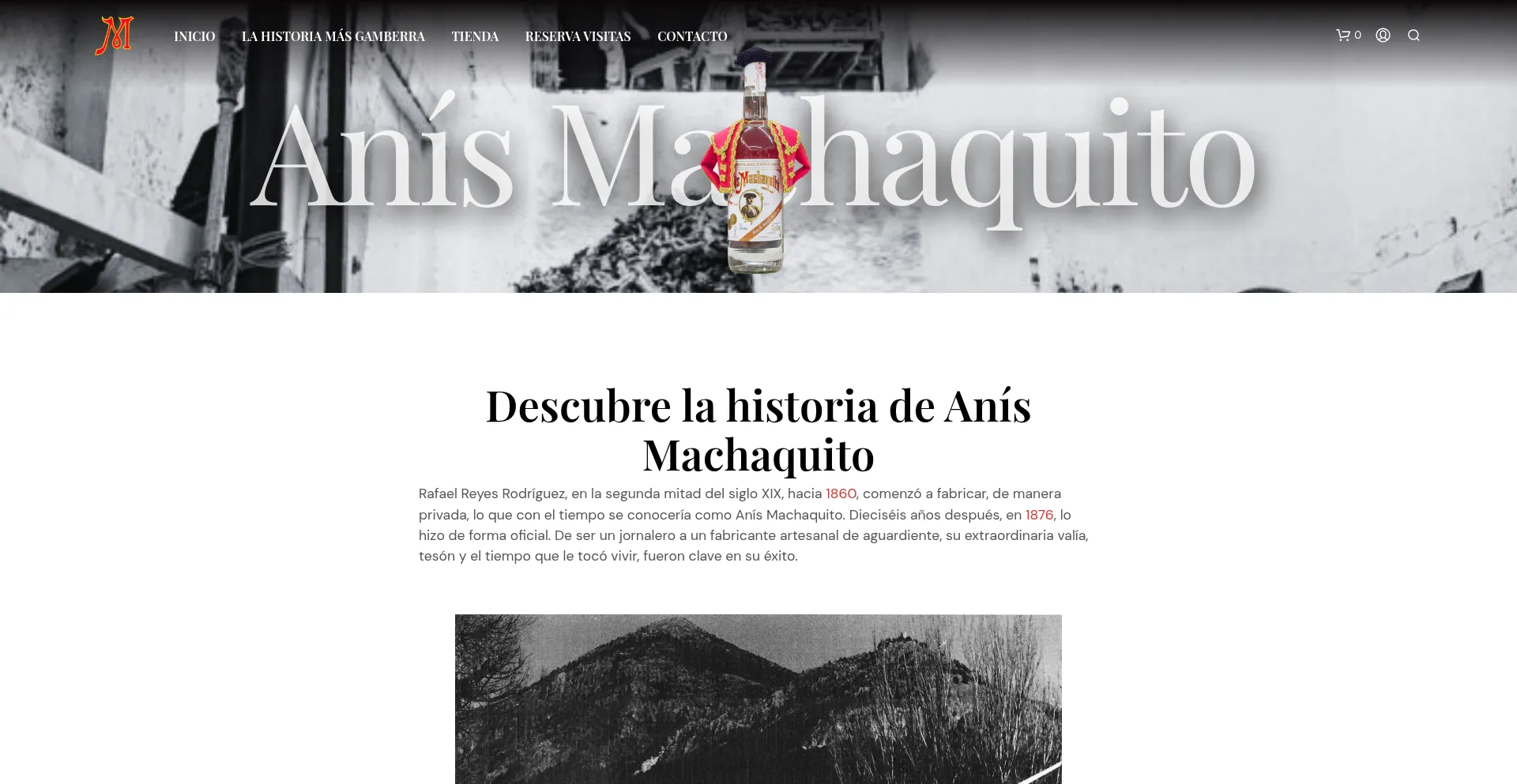 Website screenshot of Machaquito.com