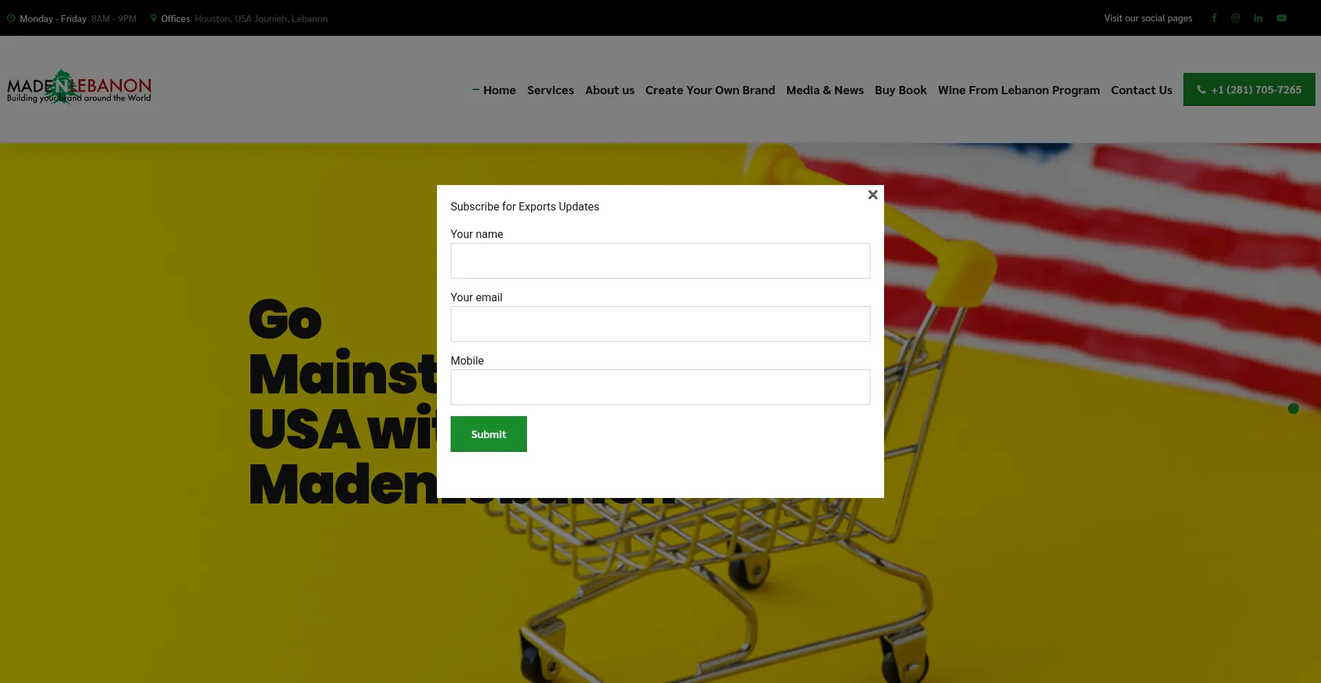 Madenlebanon.com