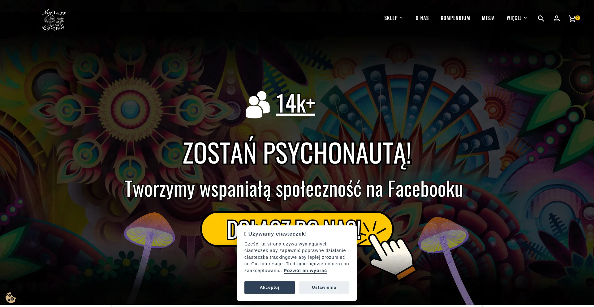 Website screenshot of Magicznegrzybki.store