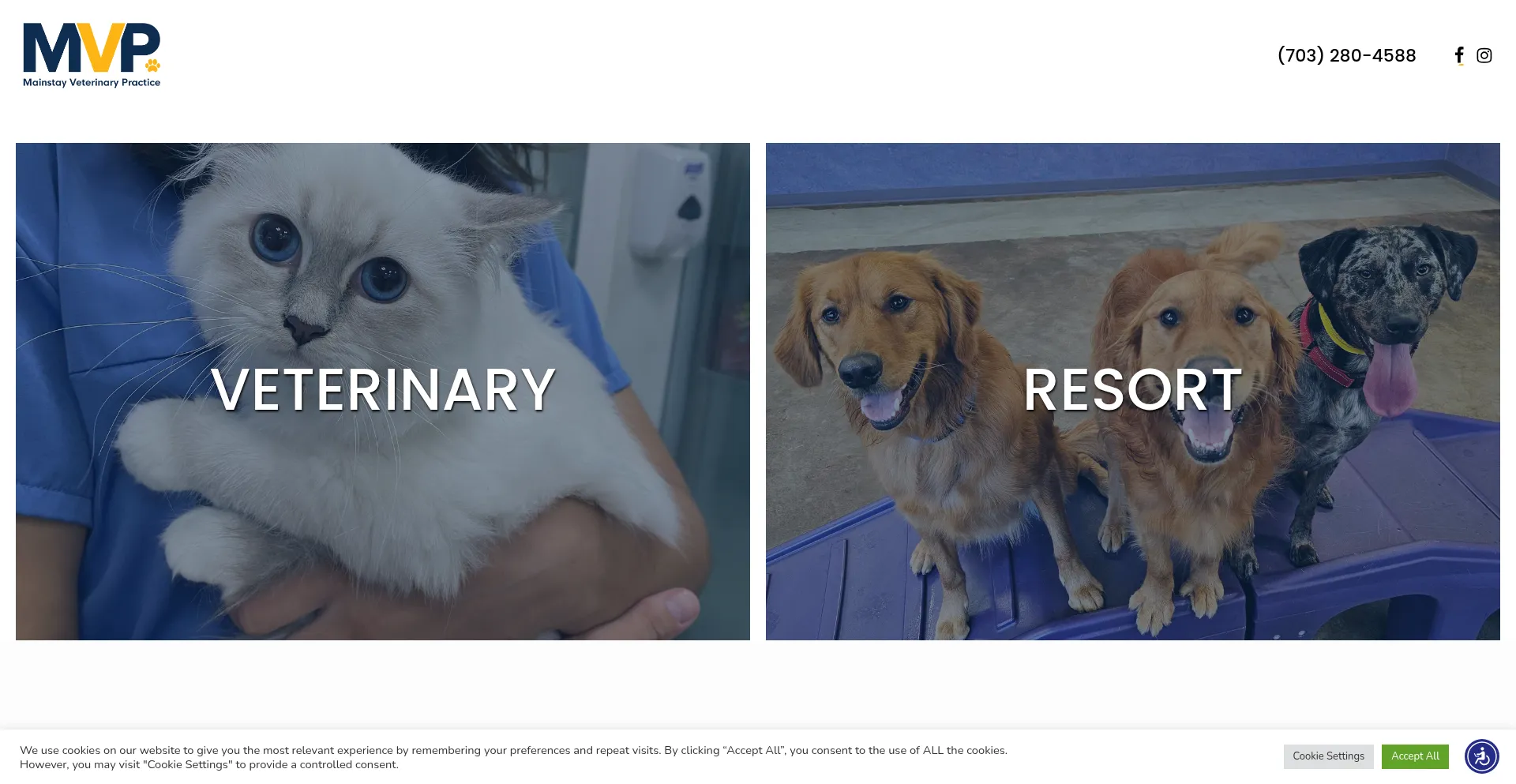 Mainstayvet.com