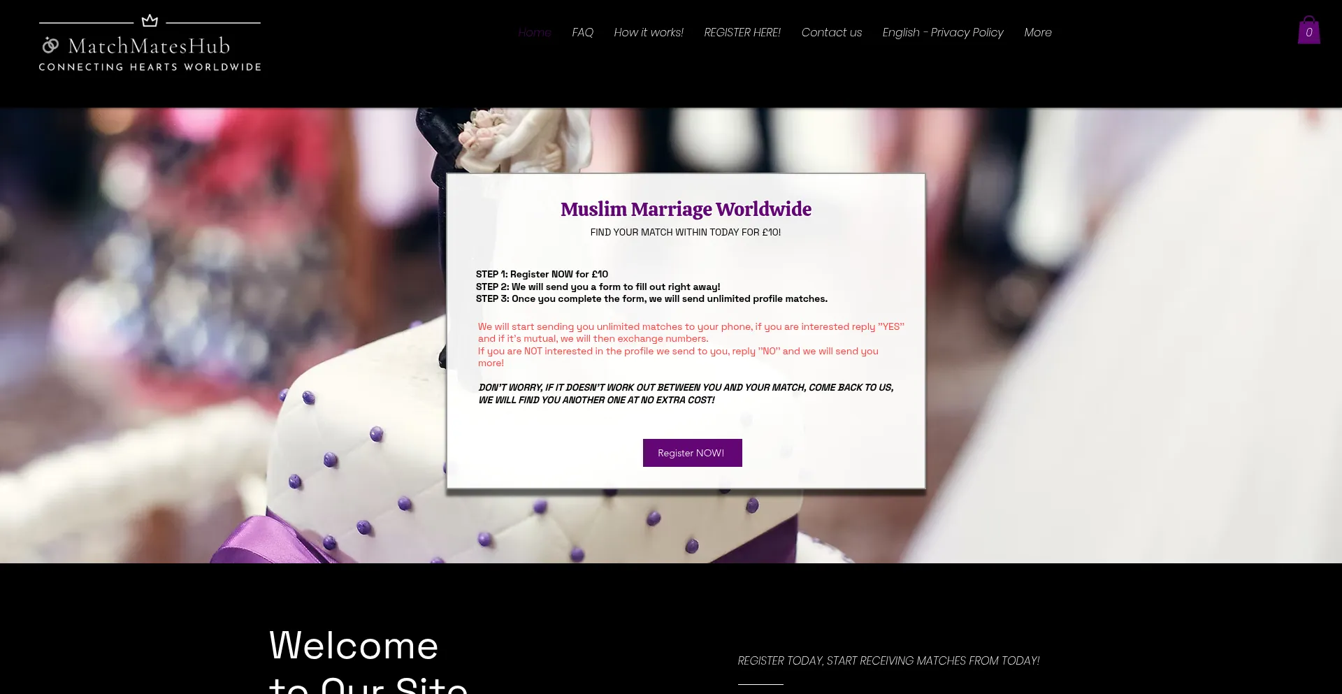 Website screenshot of Matchmateshub.com