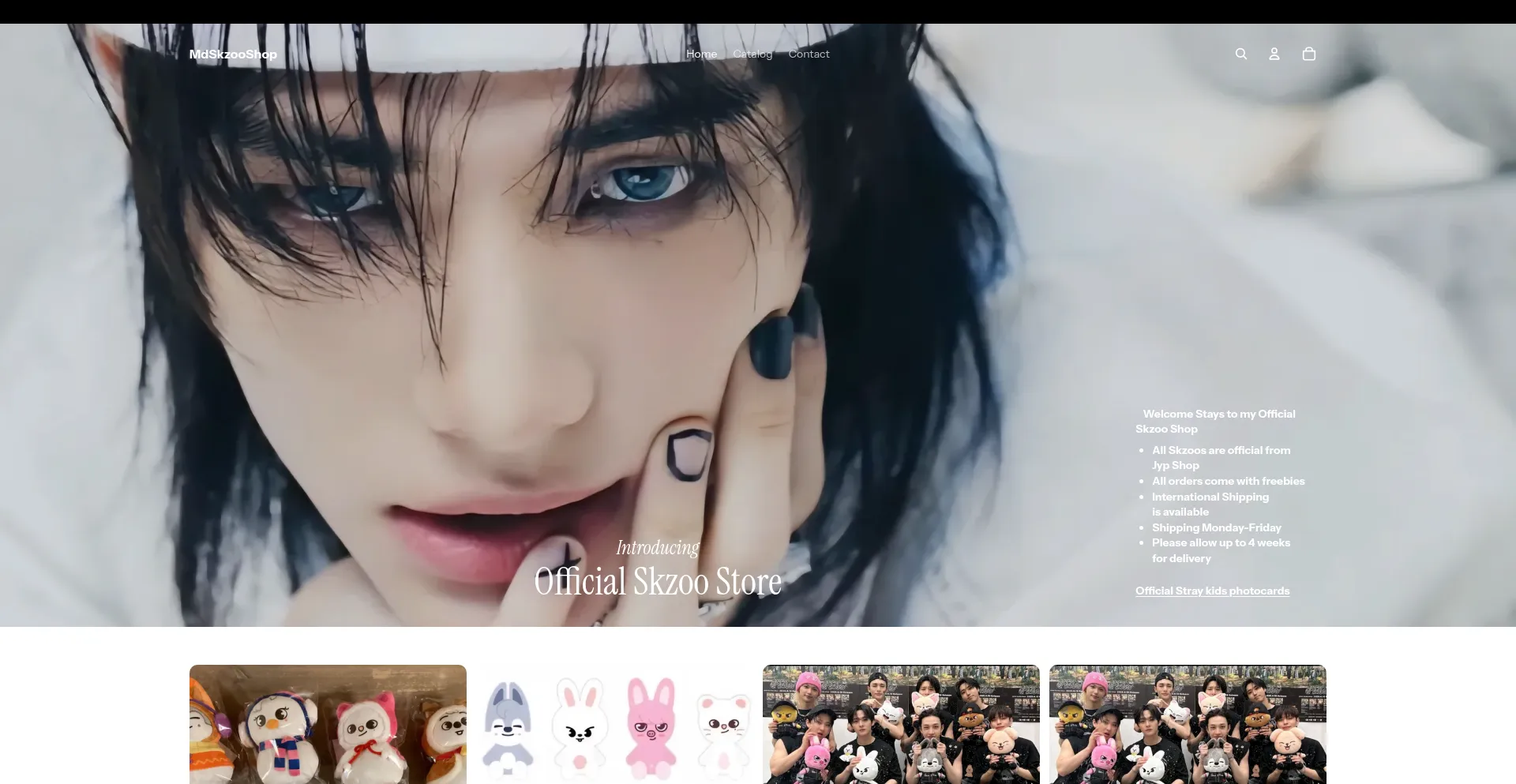 Website screenshot of Mdskzooshop.com