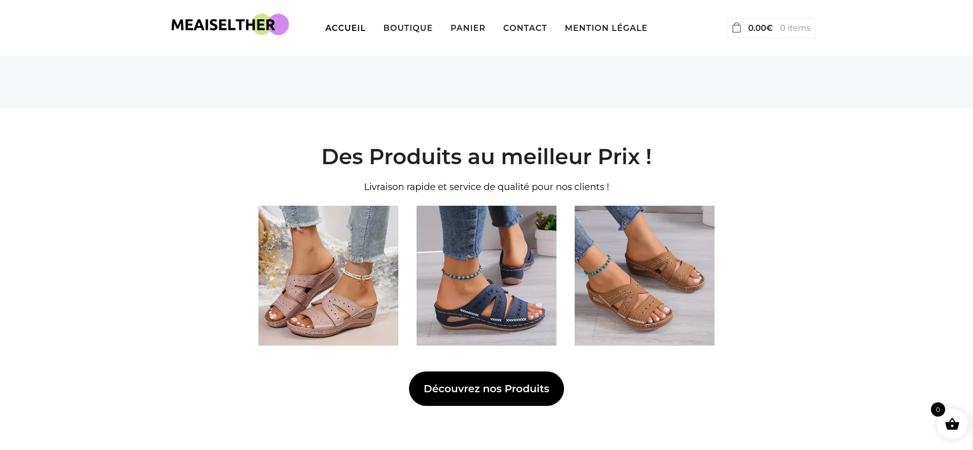 Website screenshot of Meaiselther.com