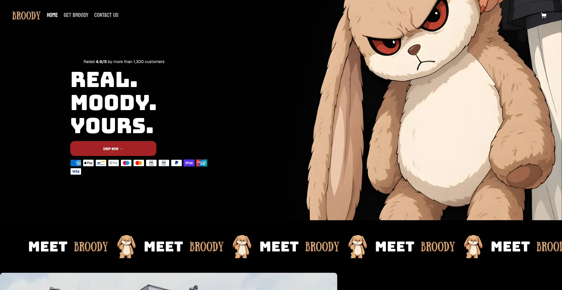 Meetbroody.com é Seguro e Confiável?