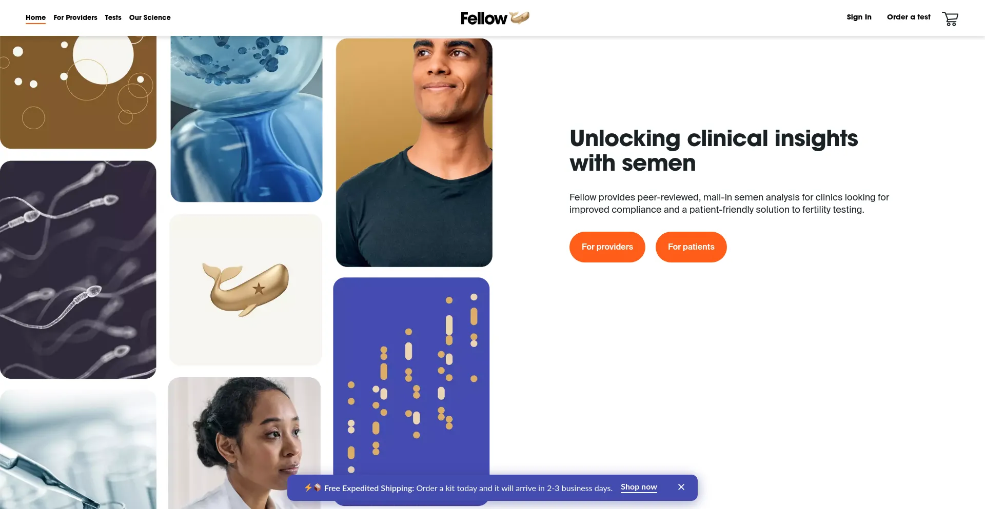 Meetfellow.com é Seguro e Confiável?