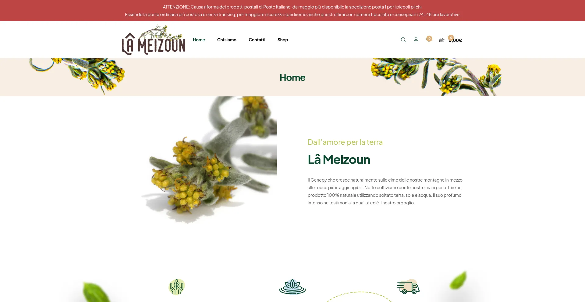 Meizoun.it