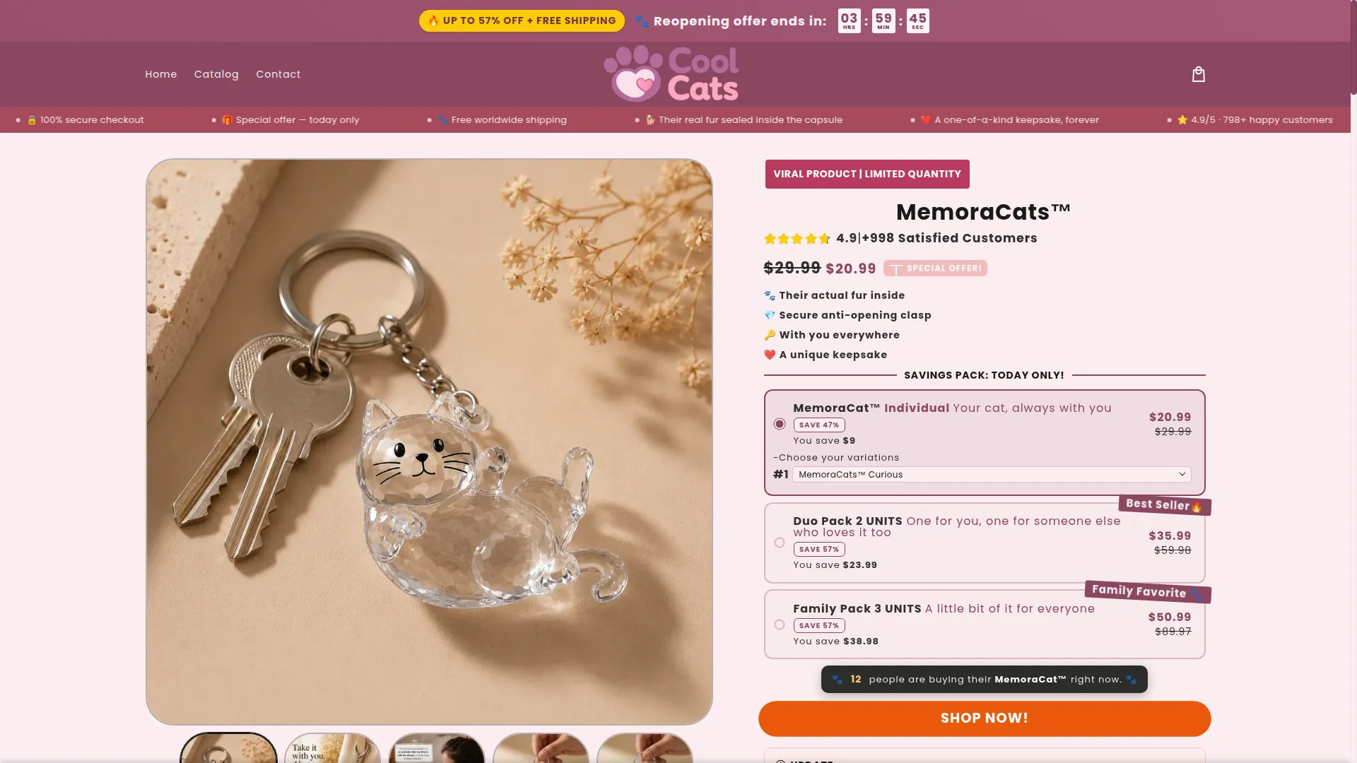 Memorayourcat.com
