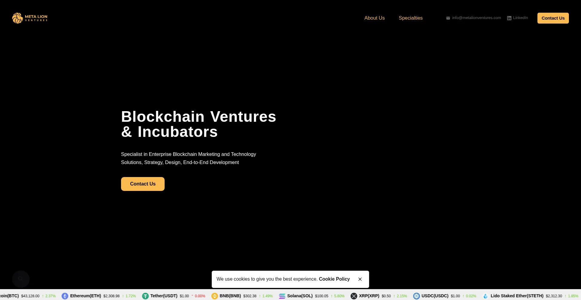 Metalionventures.com
