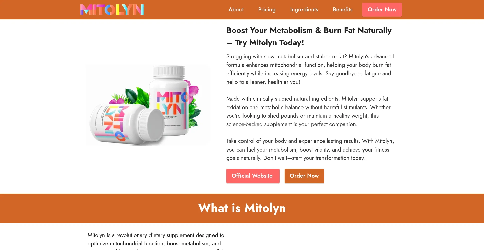 Website screenshot of Metolien.com