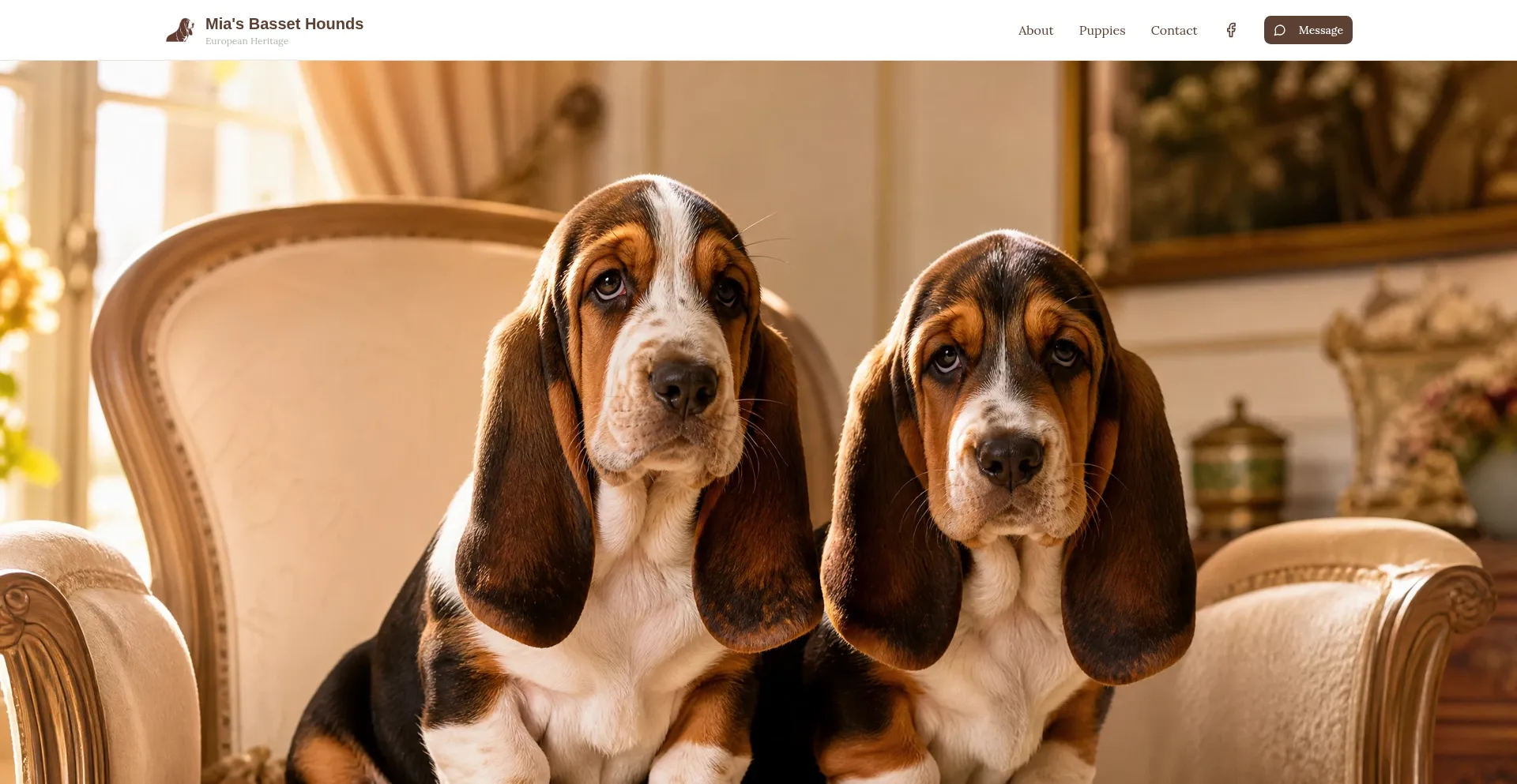 Miasbasset.com