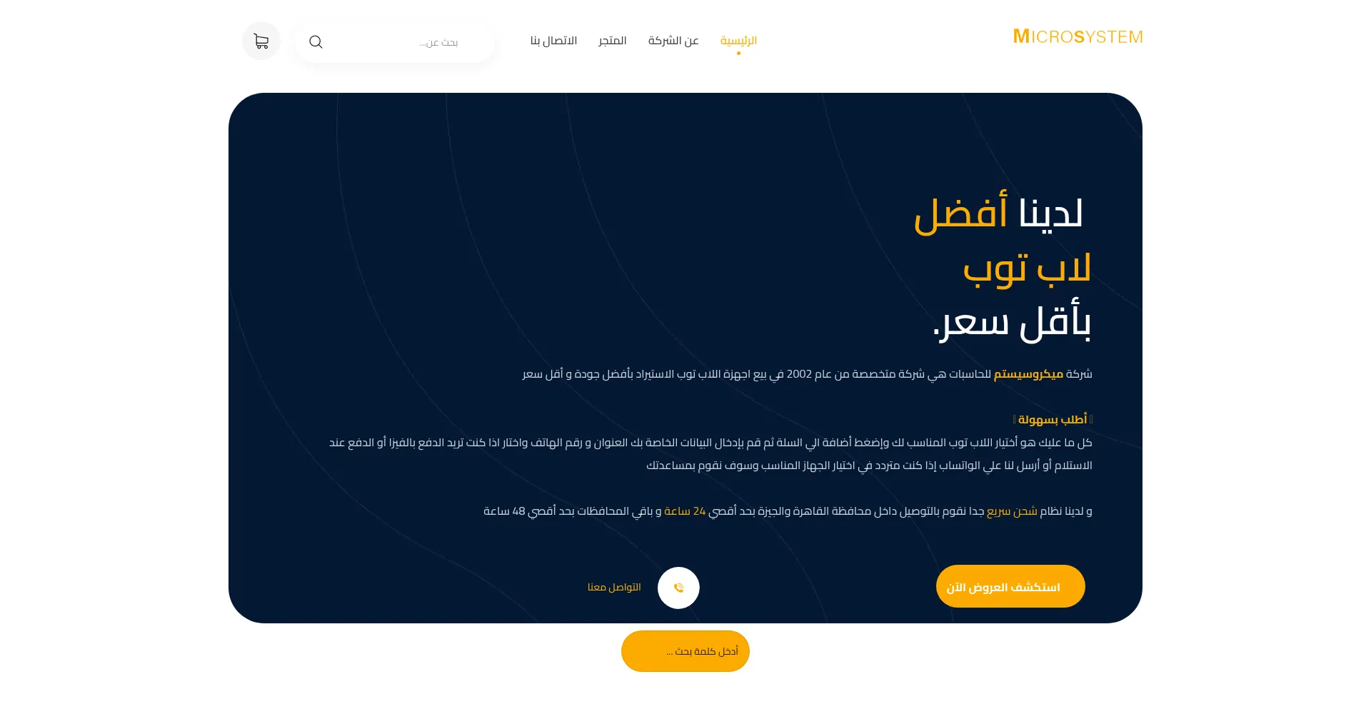 Website screenshot of Microsystemeg.com