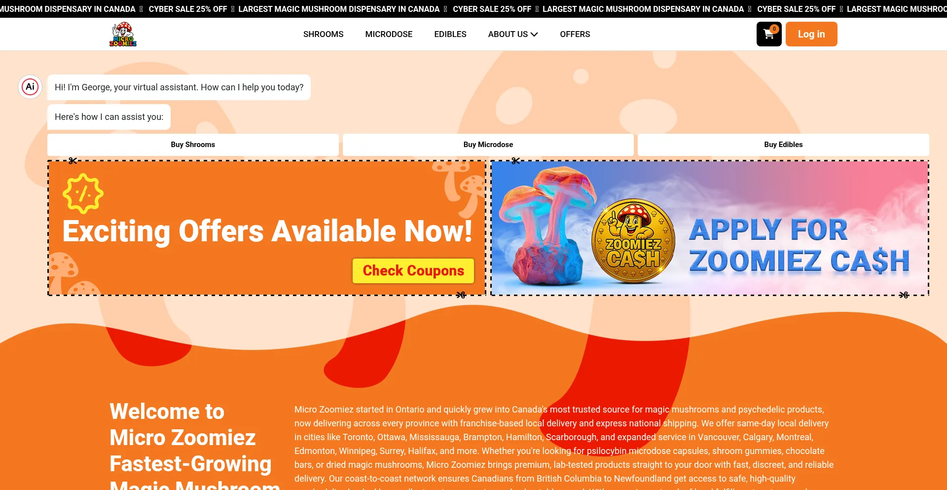 Website screenshot of Microzoomiez.ca