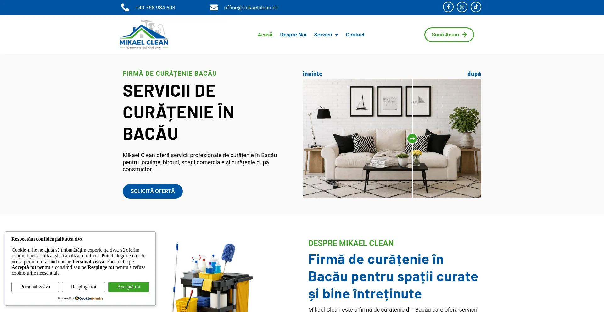 Mikaelclean.ro