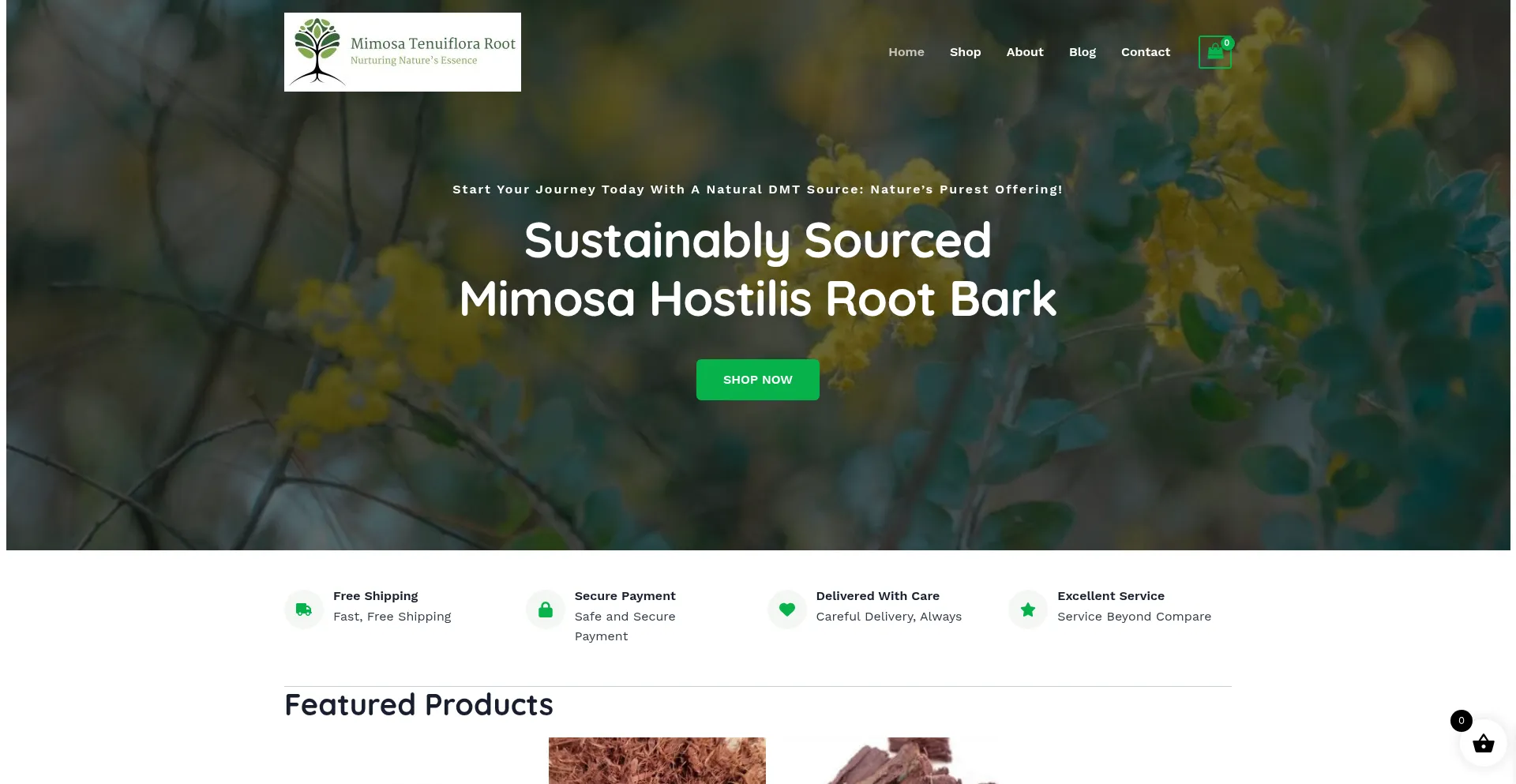 Website screenshot of Mimosatenuifloraroot.com