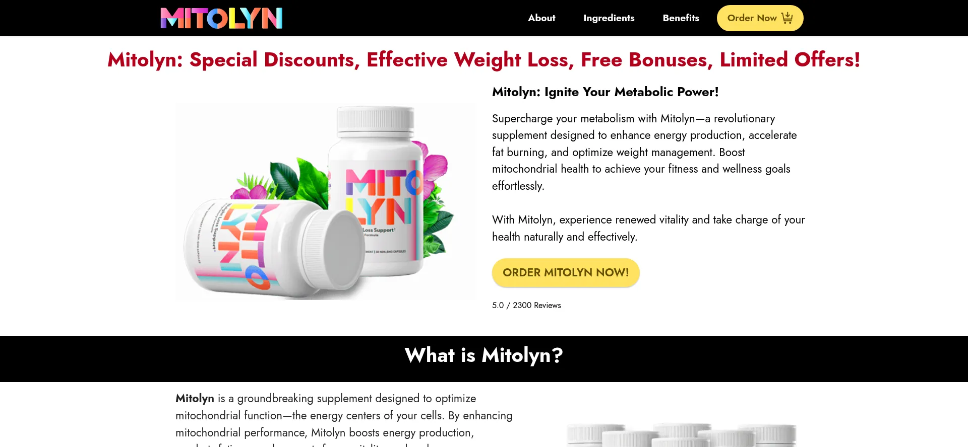 Website screenshot of Mitolien.com