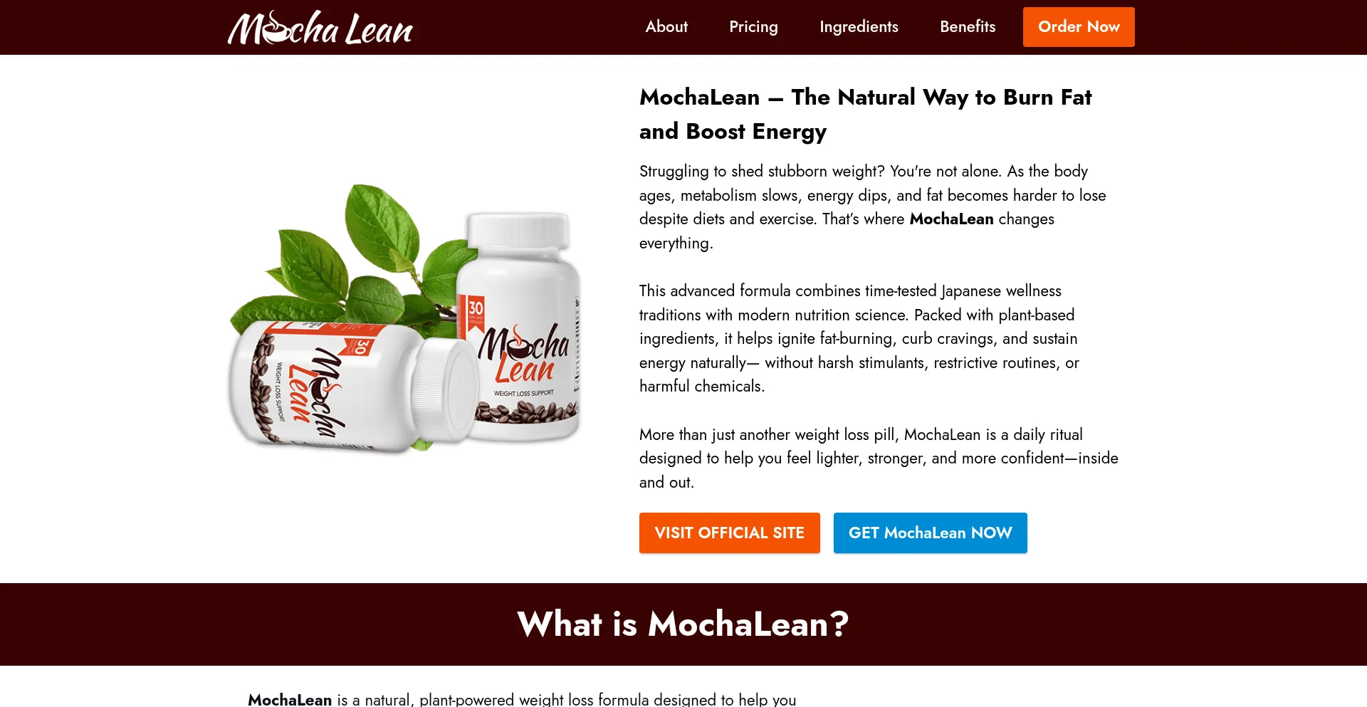 Mochalen.com é Seguro e Confiável?