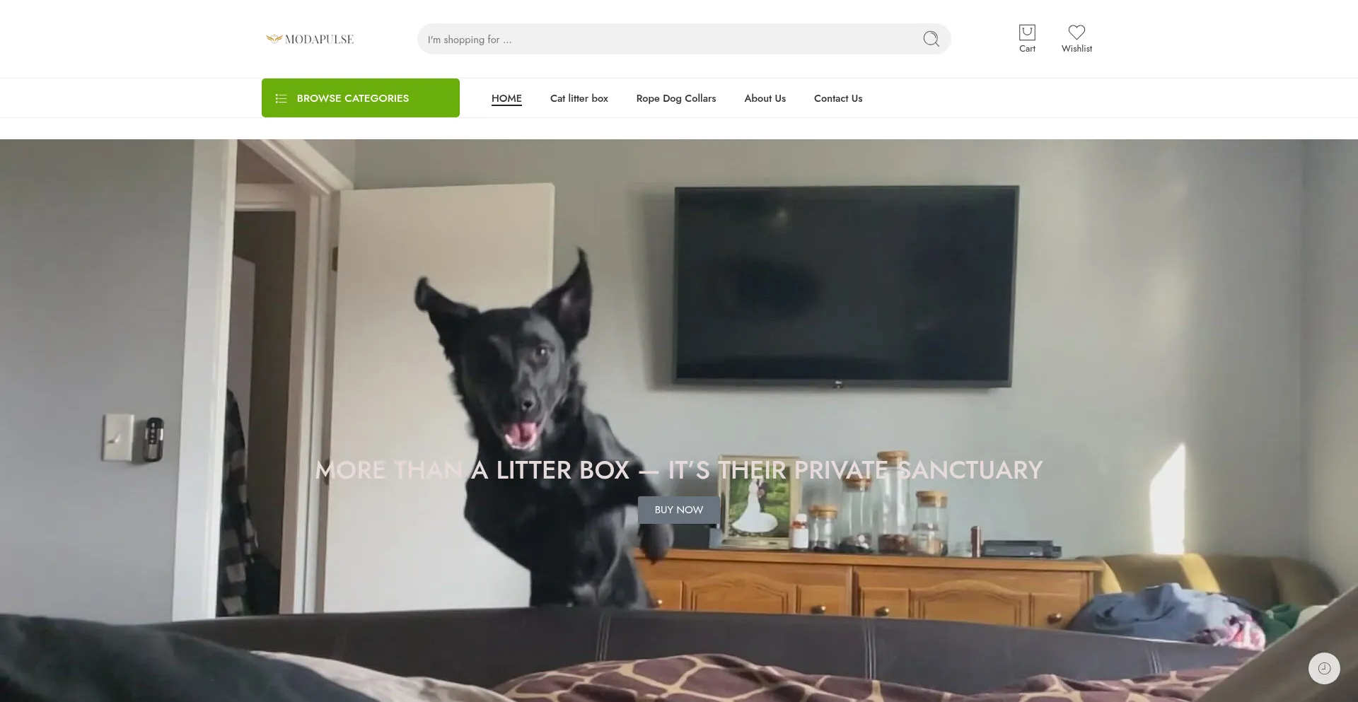 Website screenshot of Modapulse.de