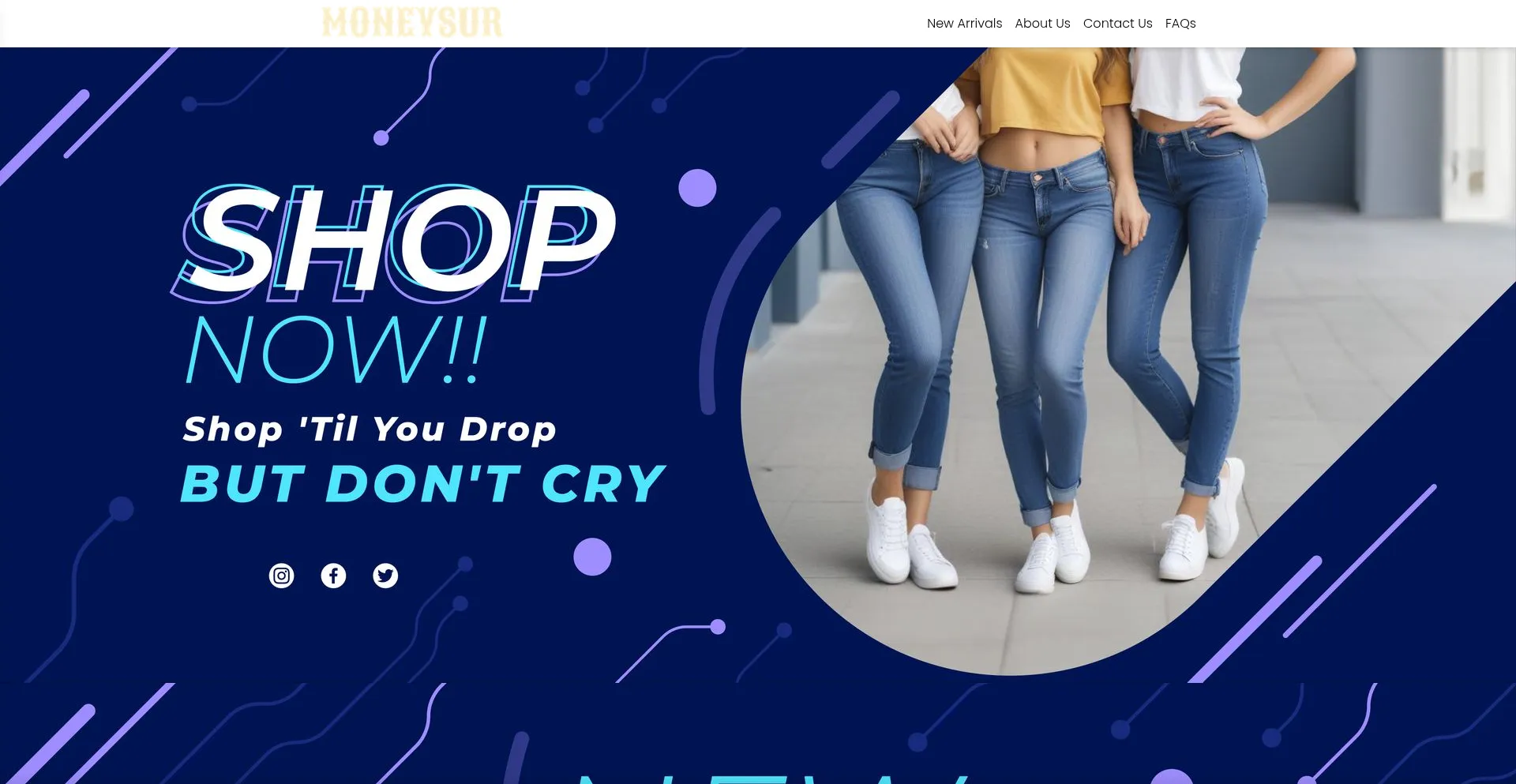 Website screenshot of Moneysur.com