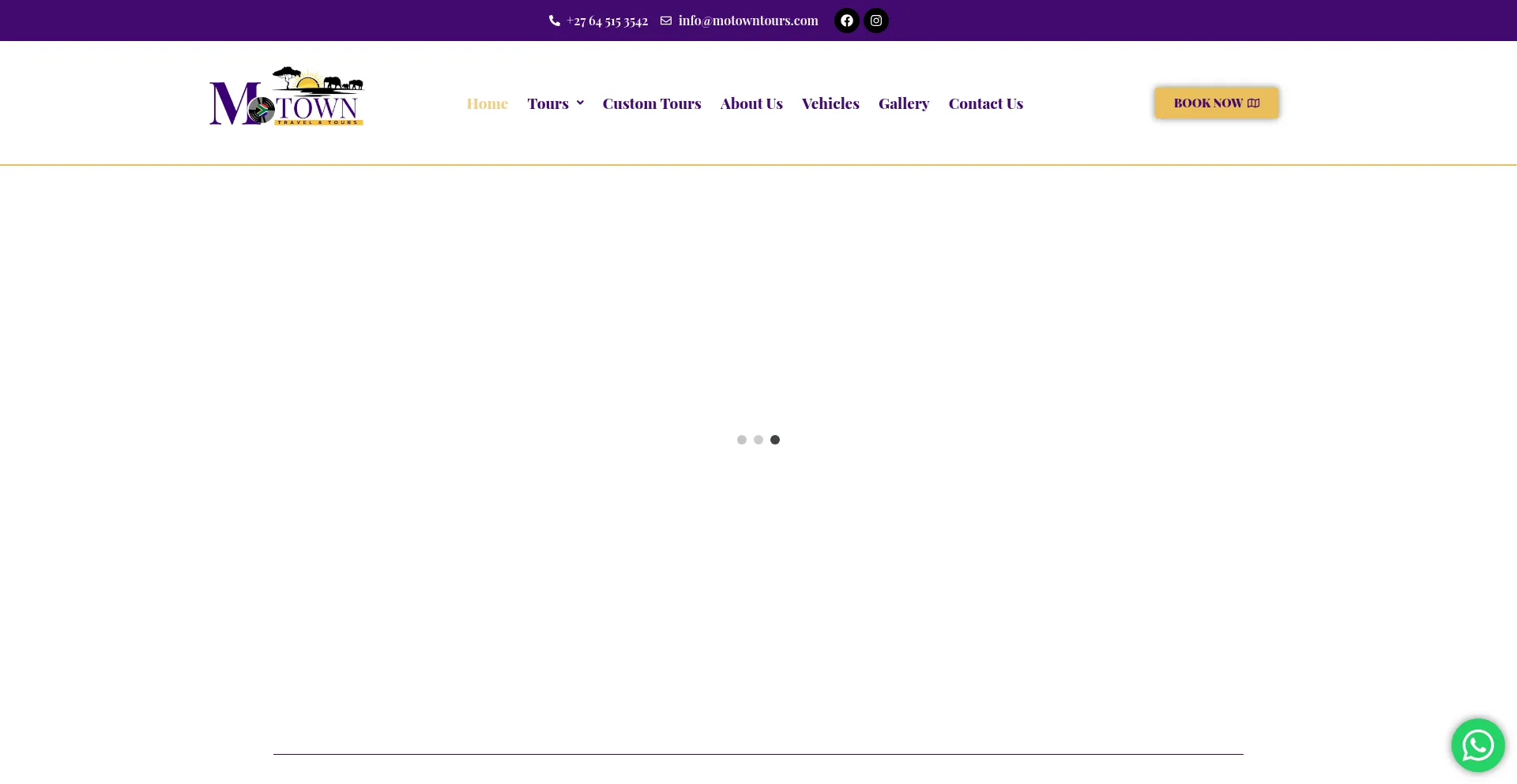 Website screenshot of Motowntours.com