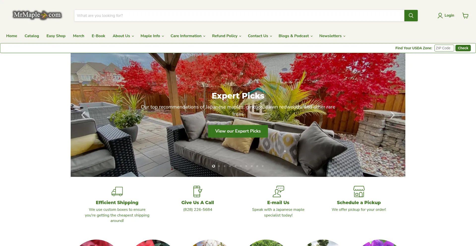 Website screenshot of Mrmaple.com