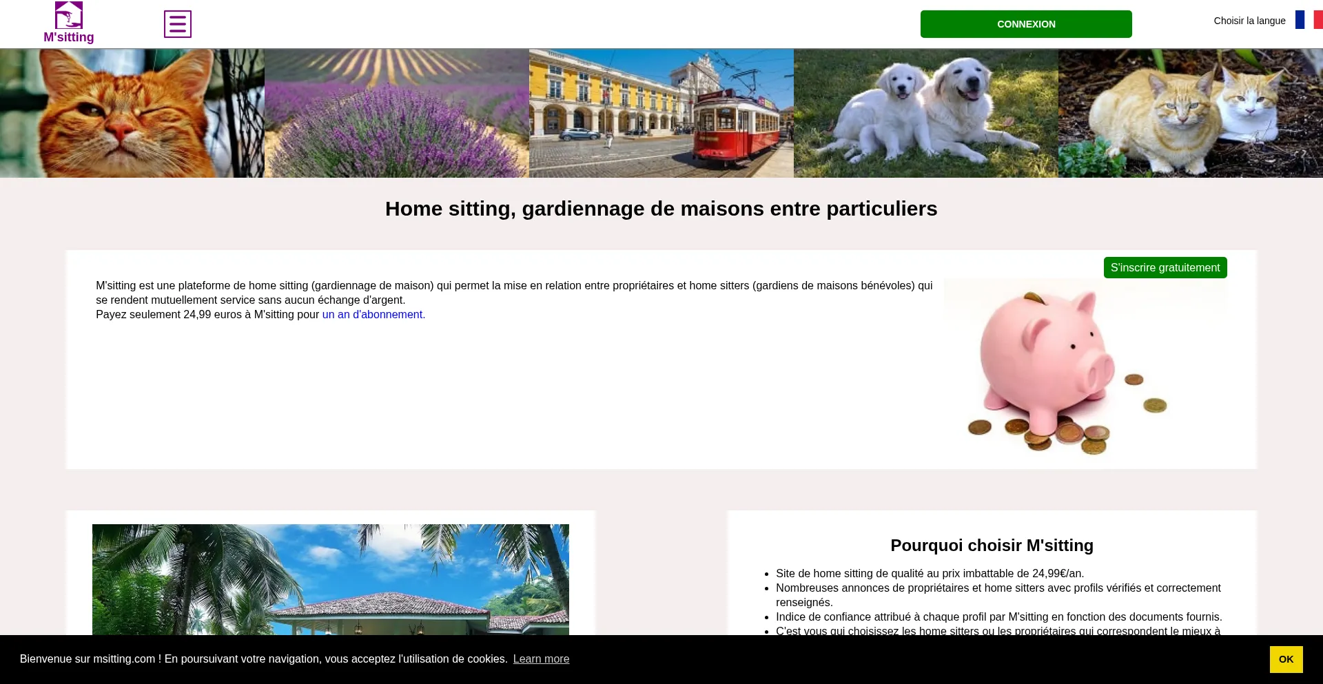 Msitting.com é Seguro e Confiável?
