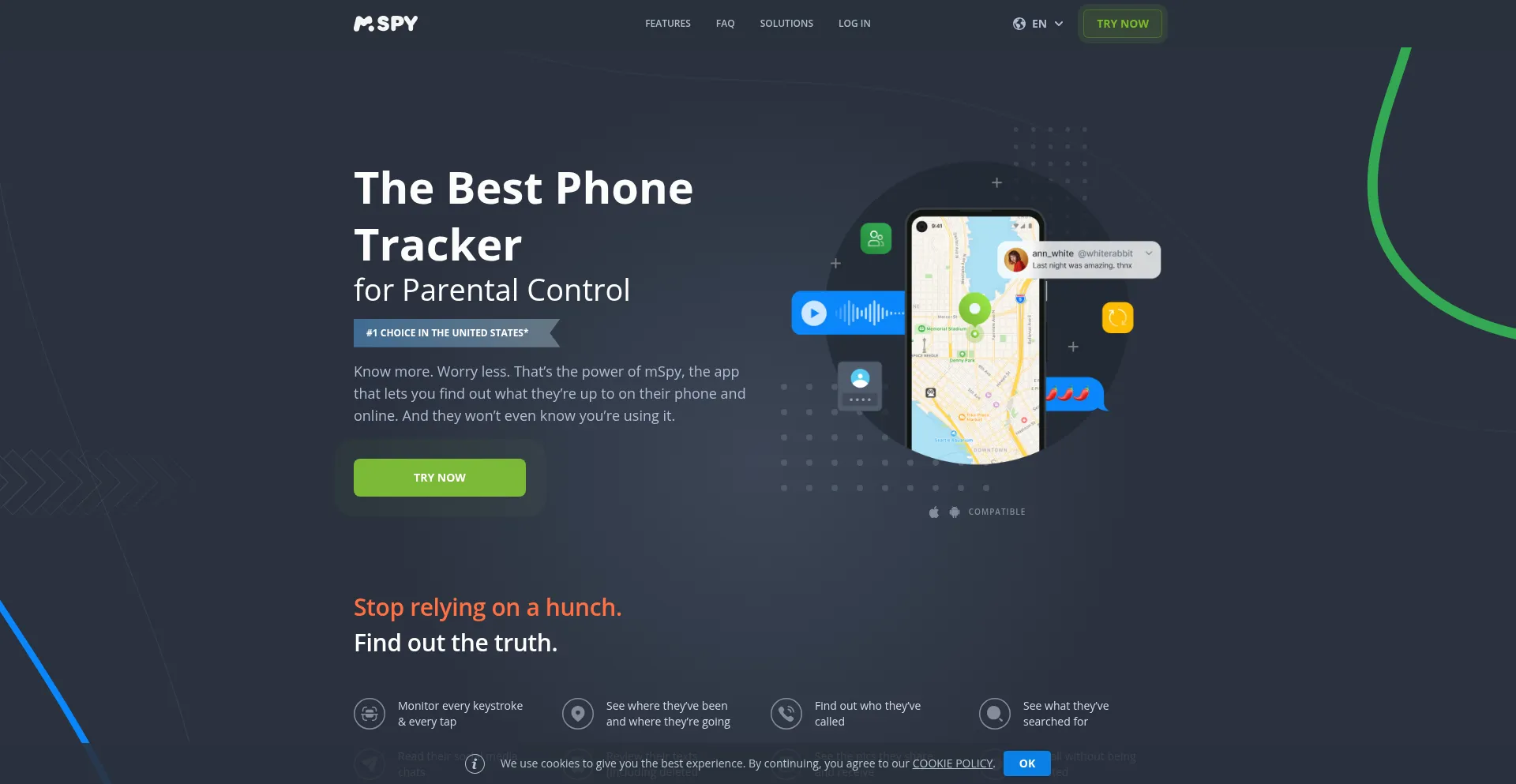 Mspy.org Screenshot