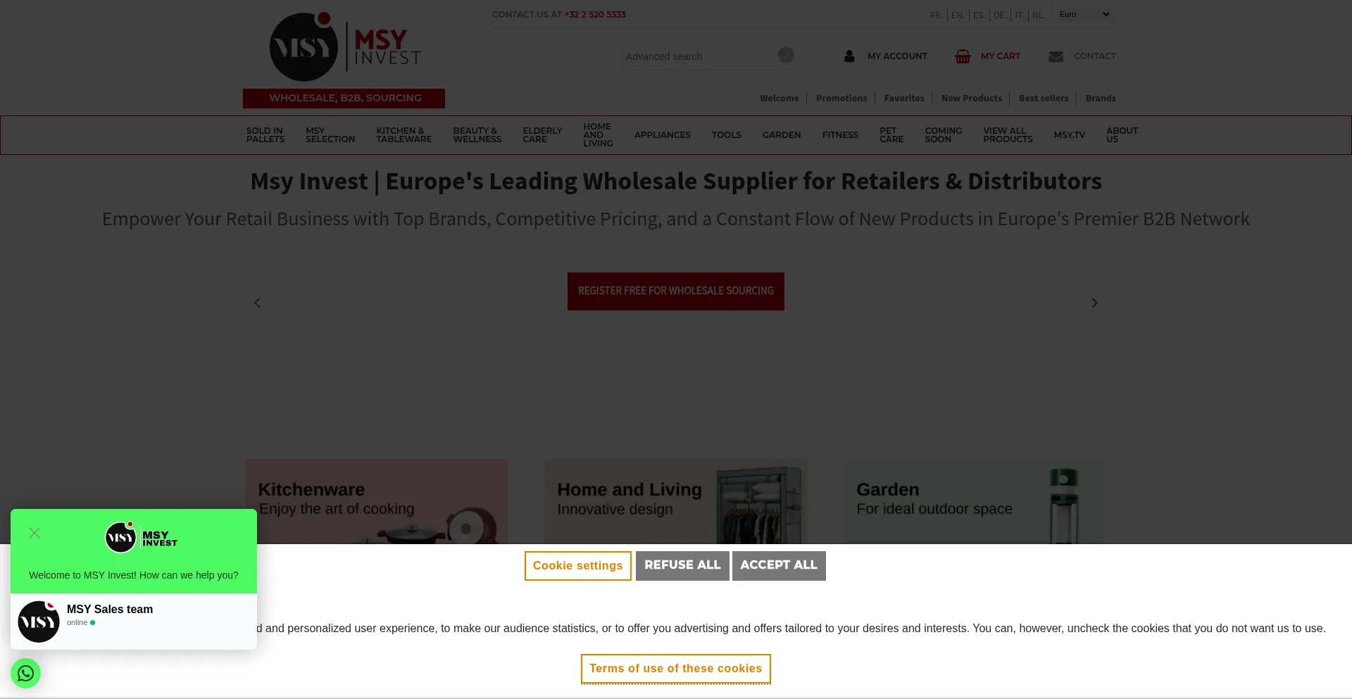 Website screenshot of Msy.be