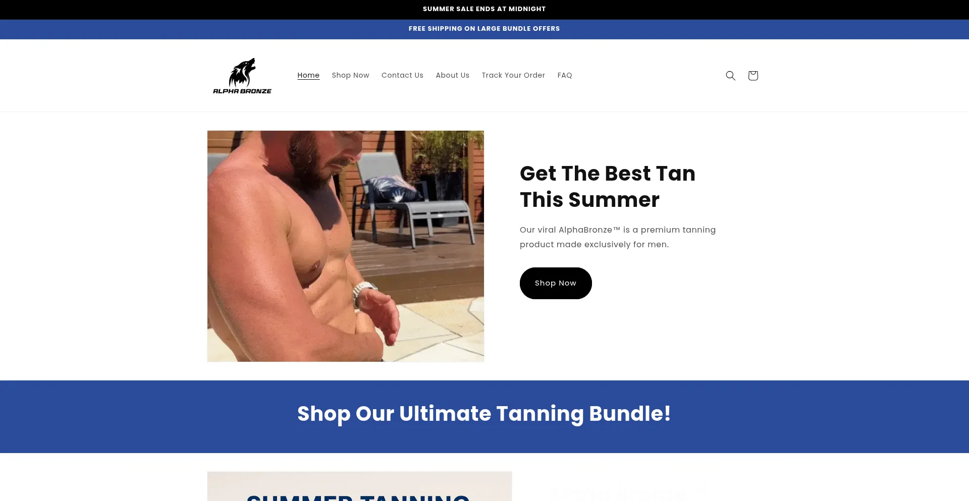 Website screenshot of Myalphabronze.com
