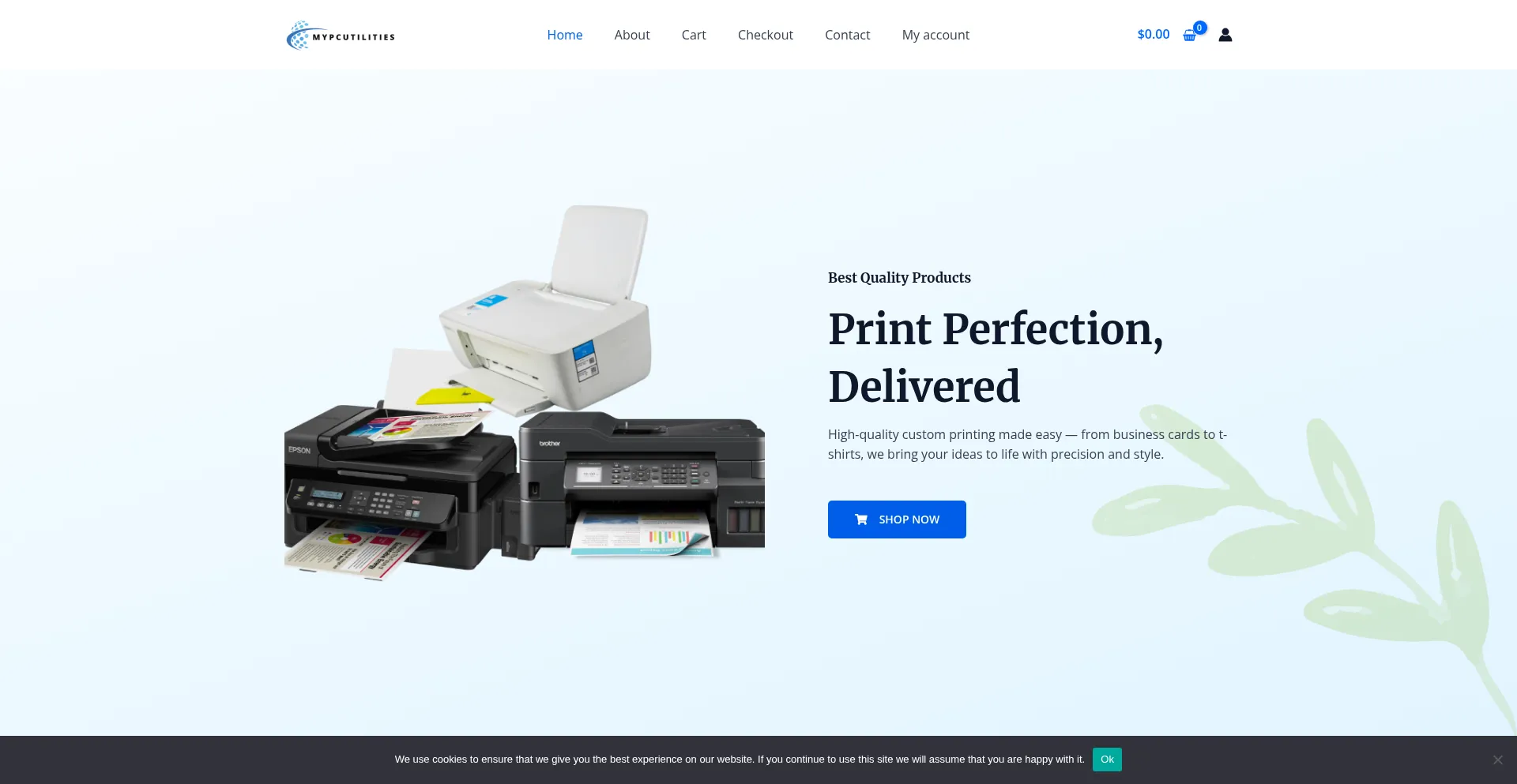Website screenshot of Mypcutilities.shop
