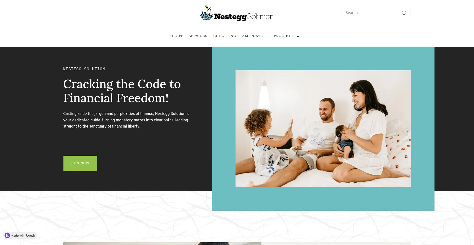 Website screenshot of N3ggs.com