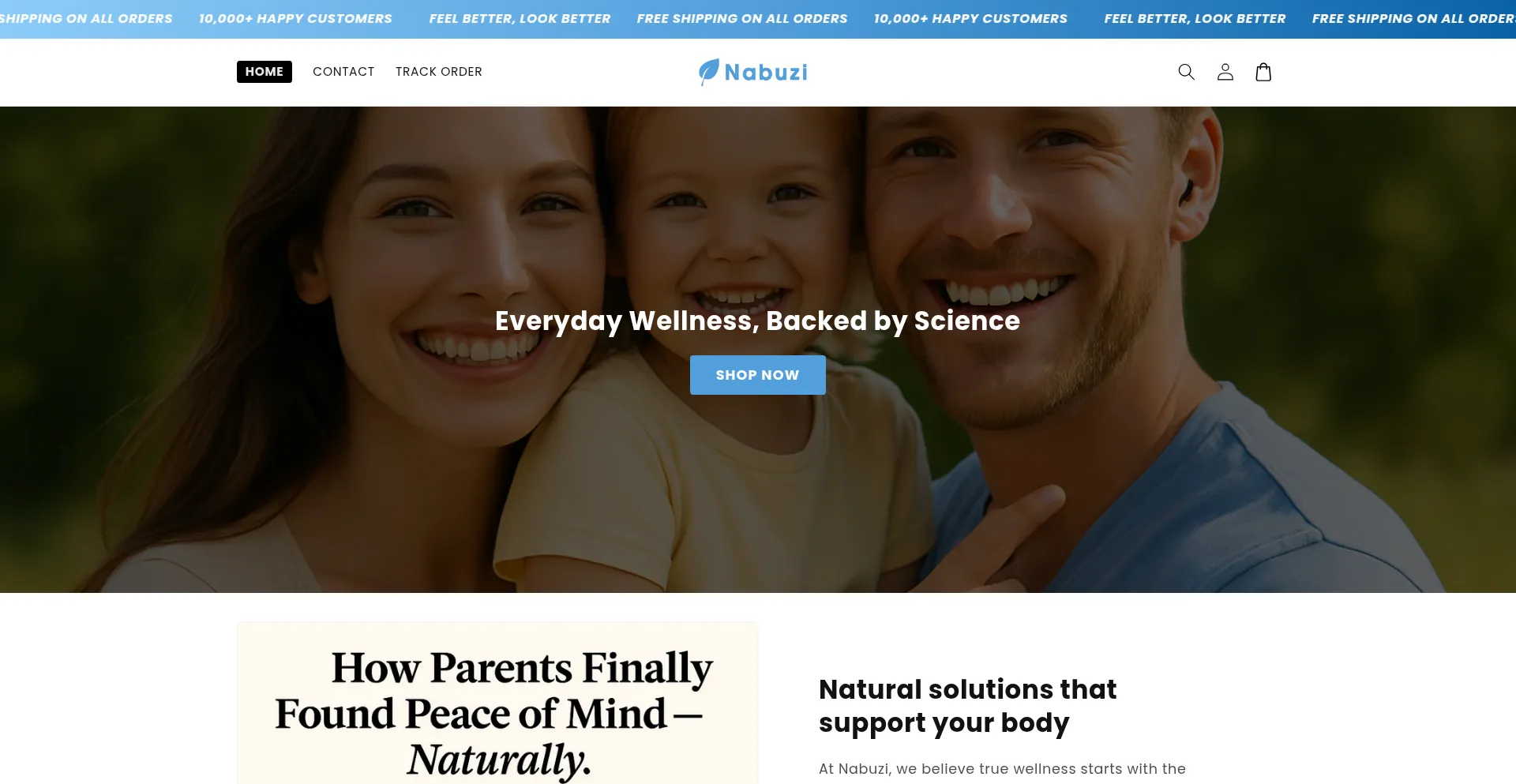 Website screenshot of Nabuzi.com
