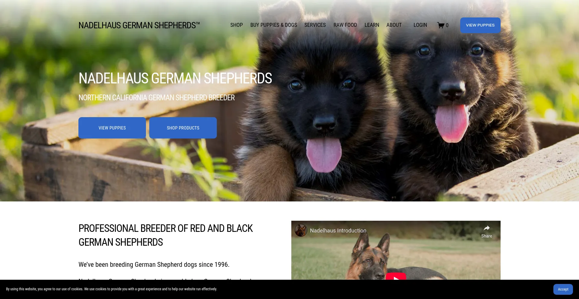 Website screenshot of Nadelhaus.com