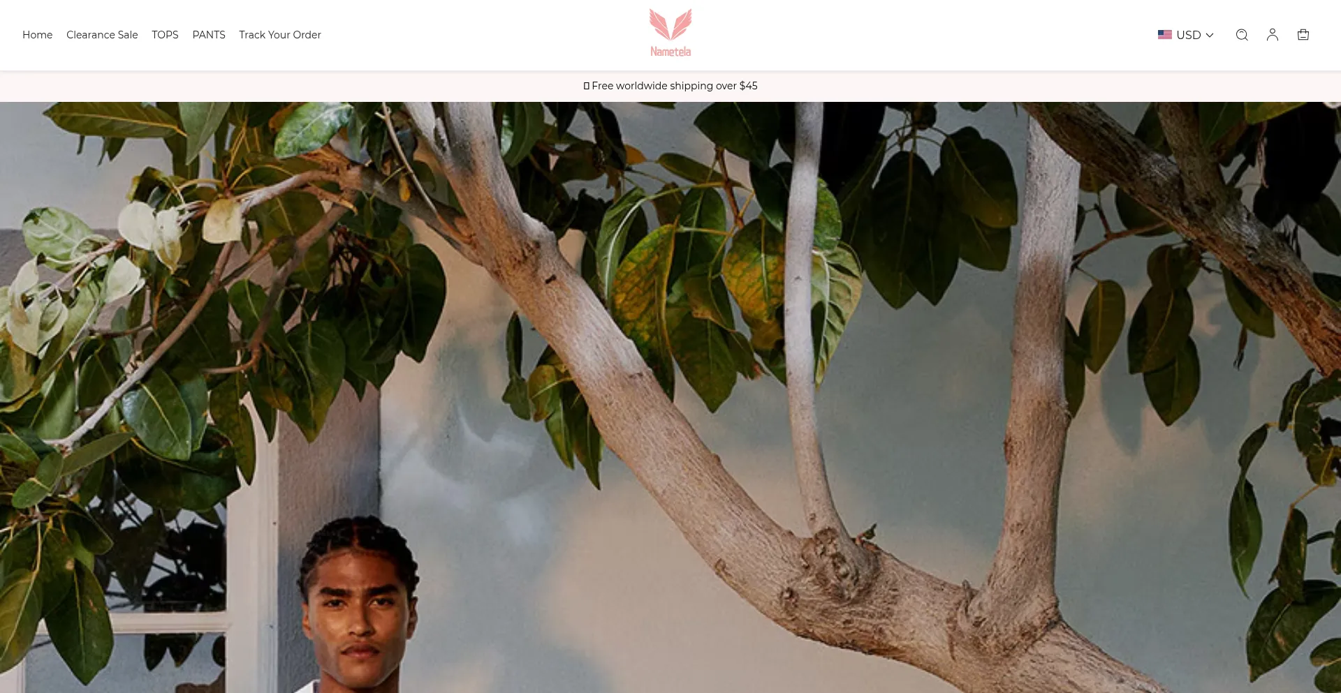 Website screenshot of Nametela.com