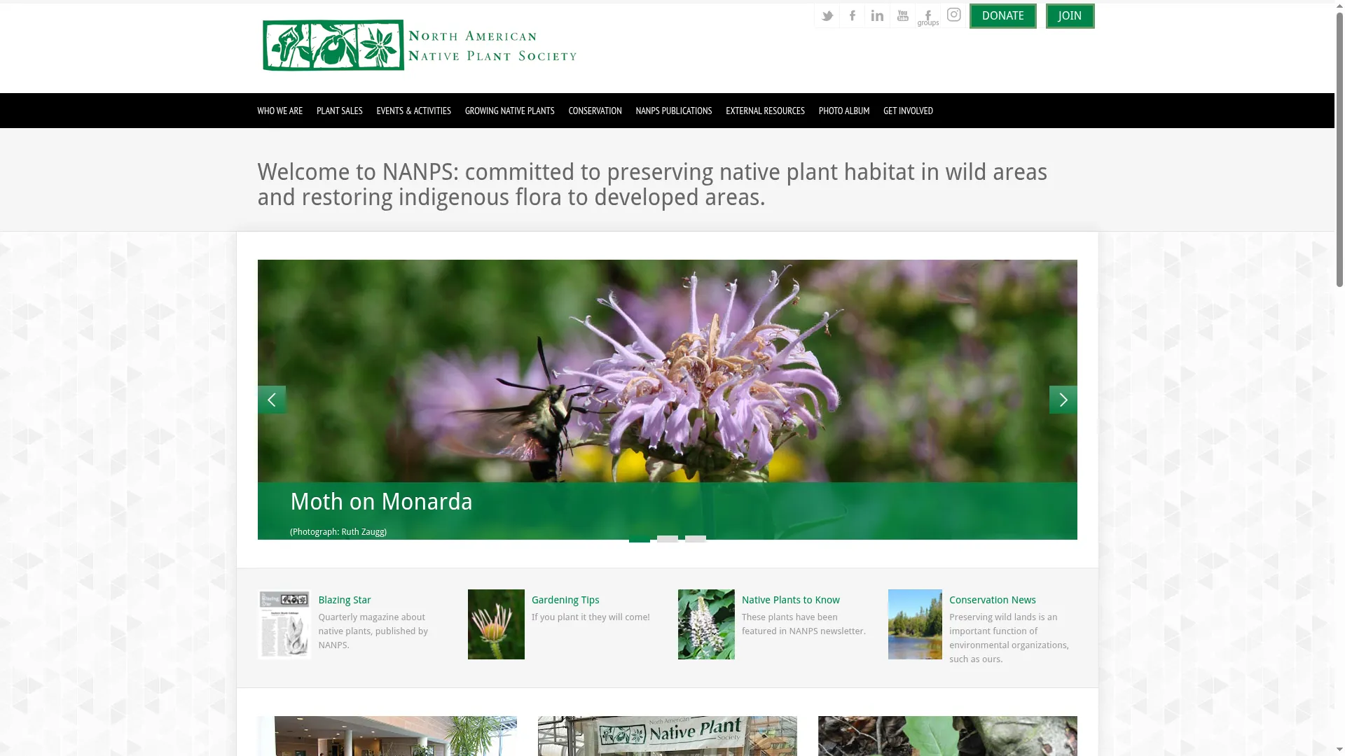 Nanps.org