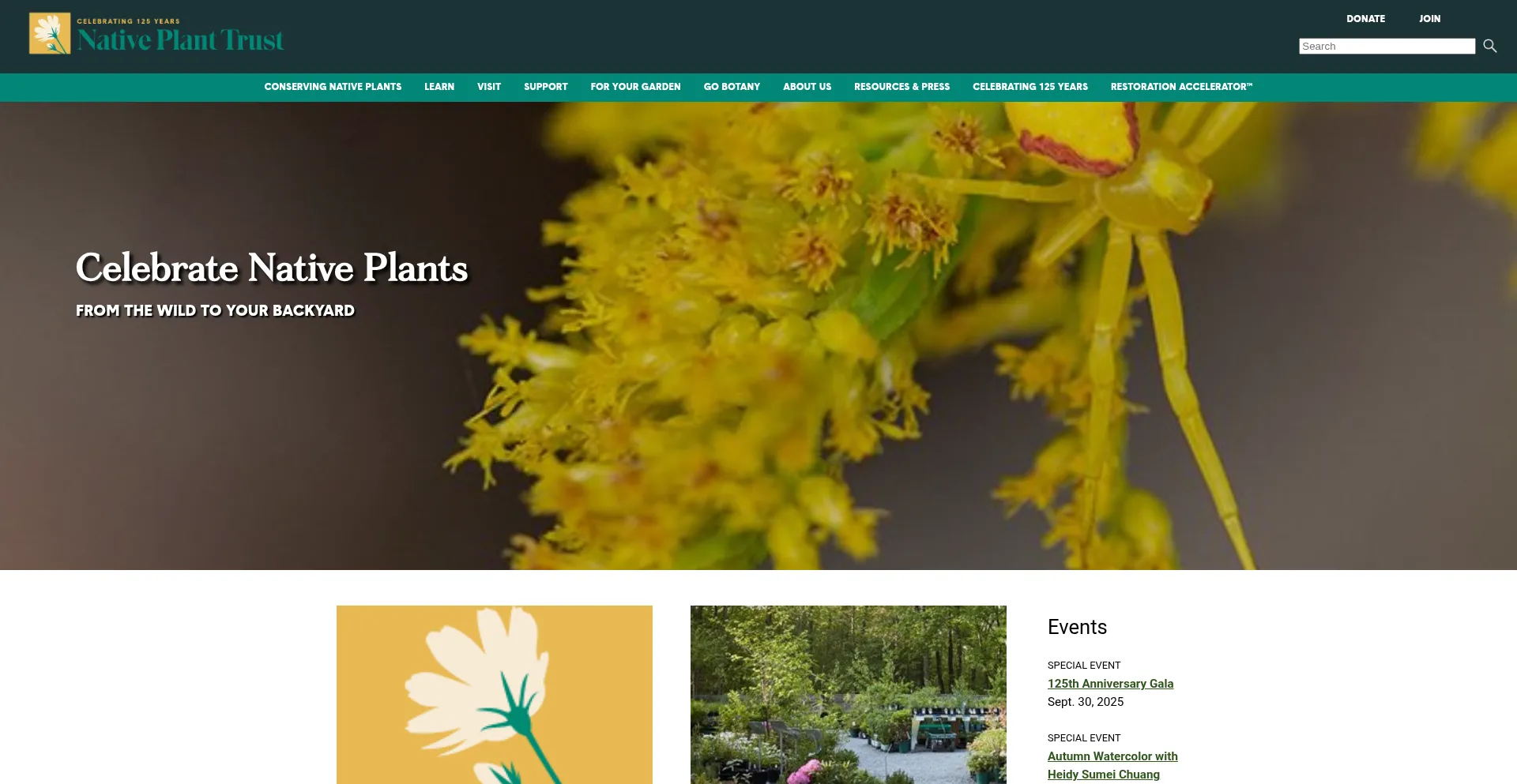 Nativeplanttrust.org é Seguro e Confiável?