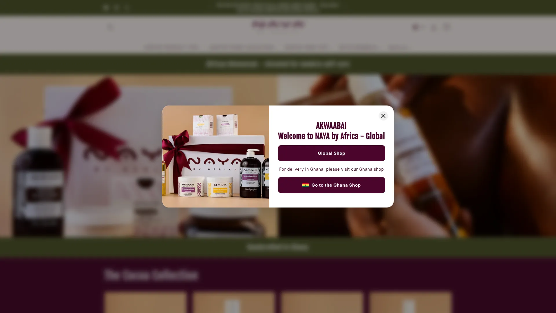 Nayabyafricaglobal.com