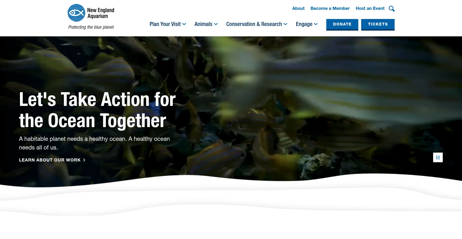 Neaq.org