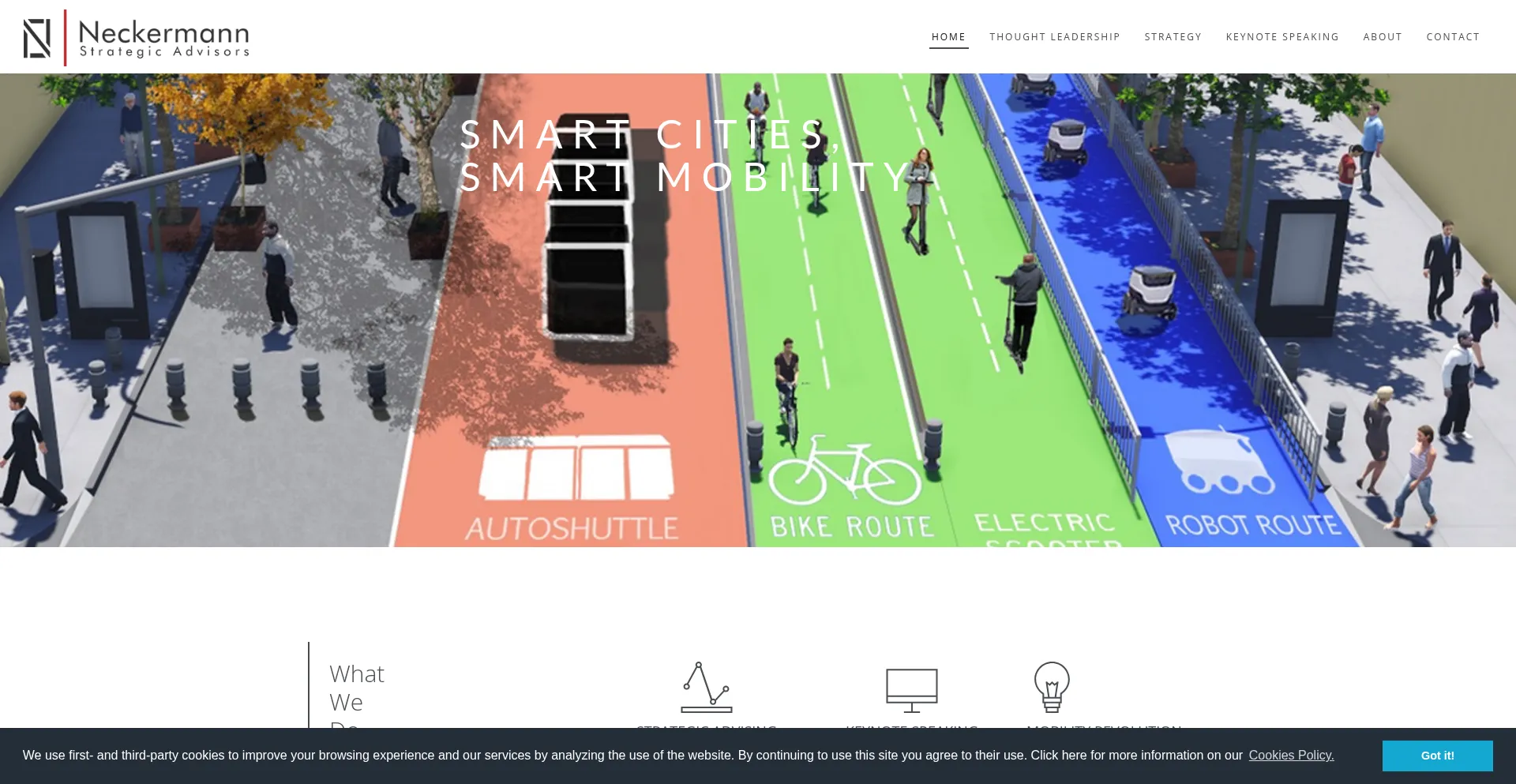 Website screenshot of Neckermann.net