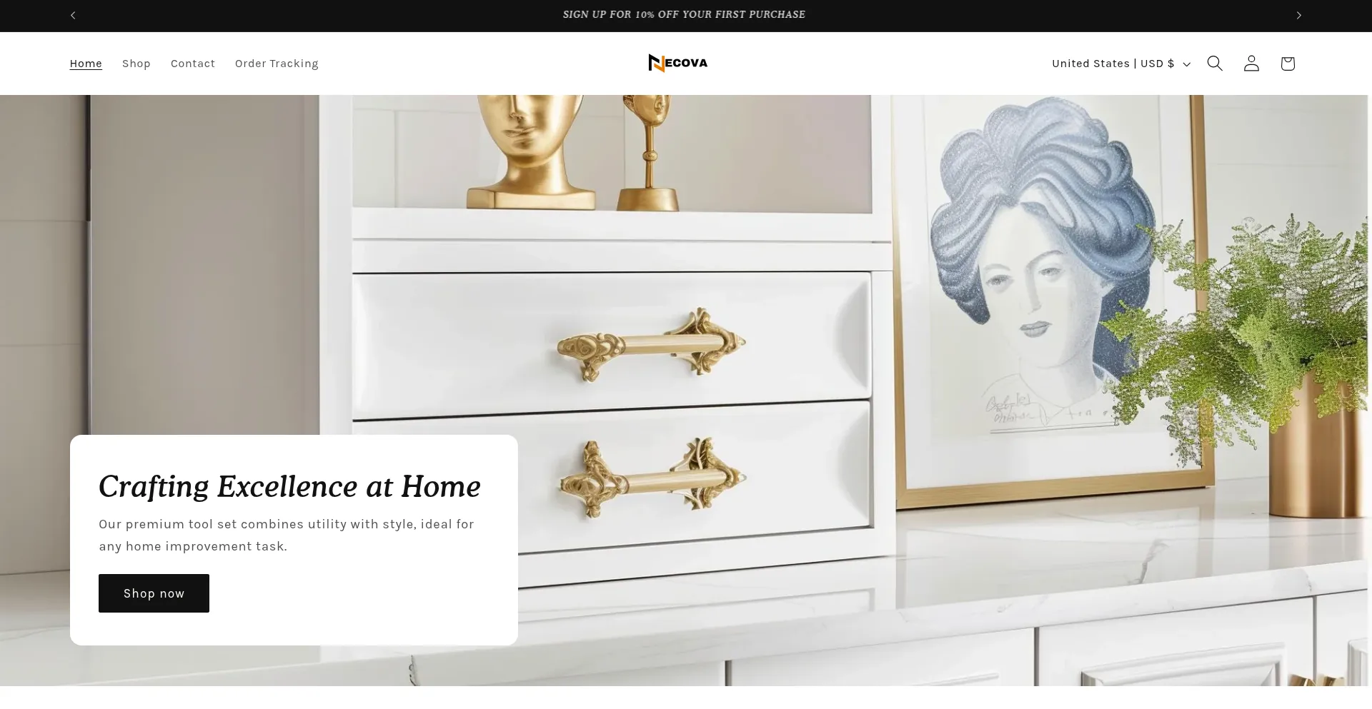 Website screenshot of Necova.shop