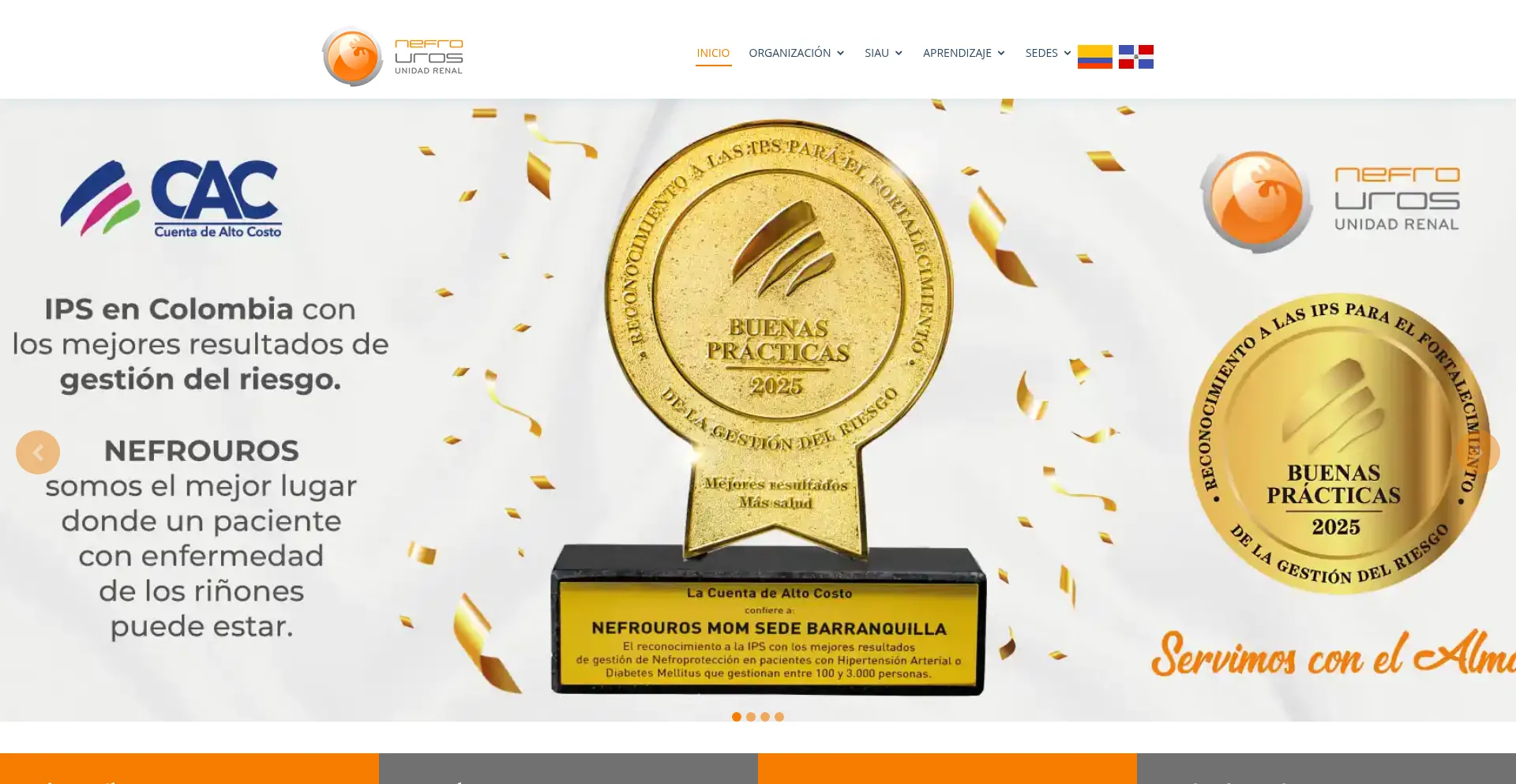 Nefrouros.net