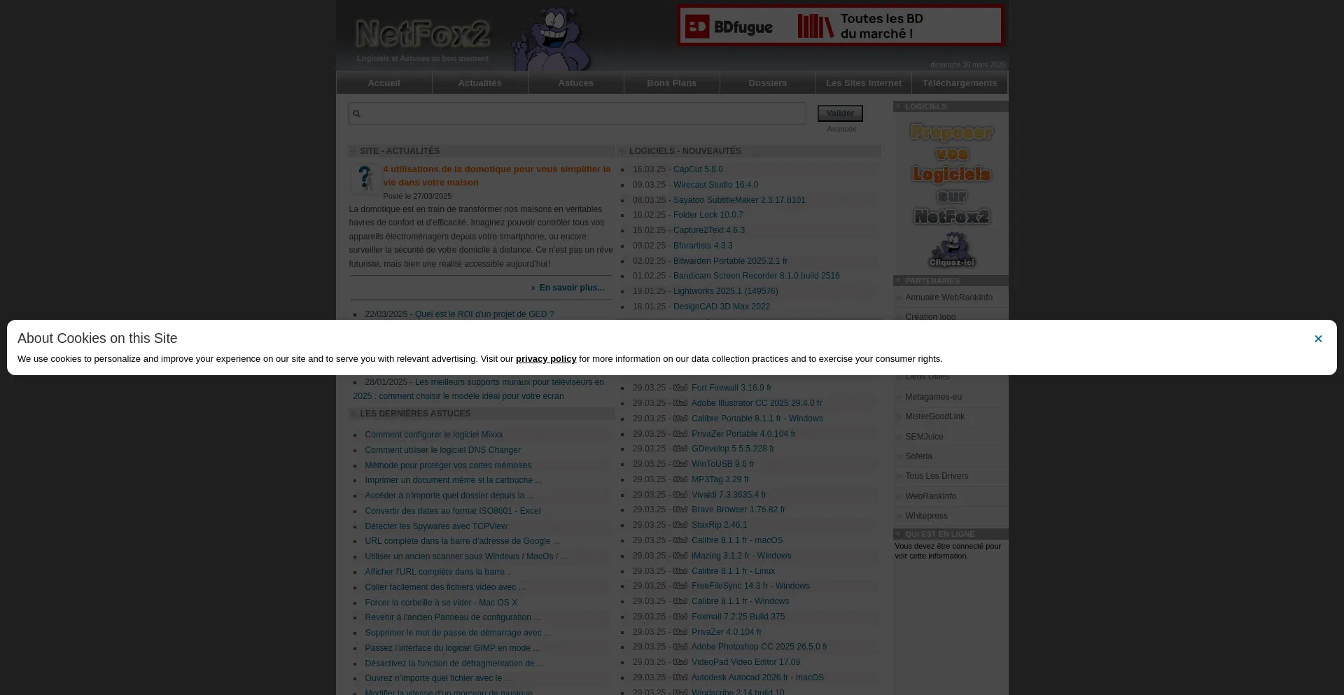 Website screenshot of Netfox2.net