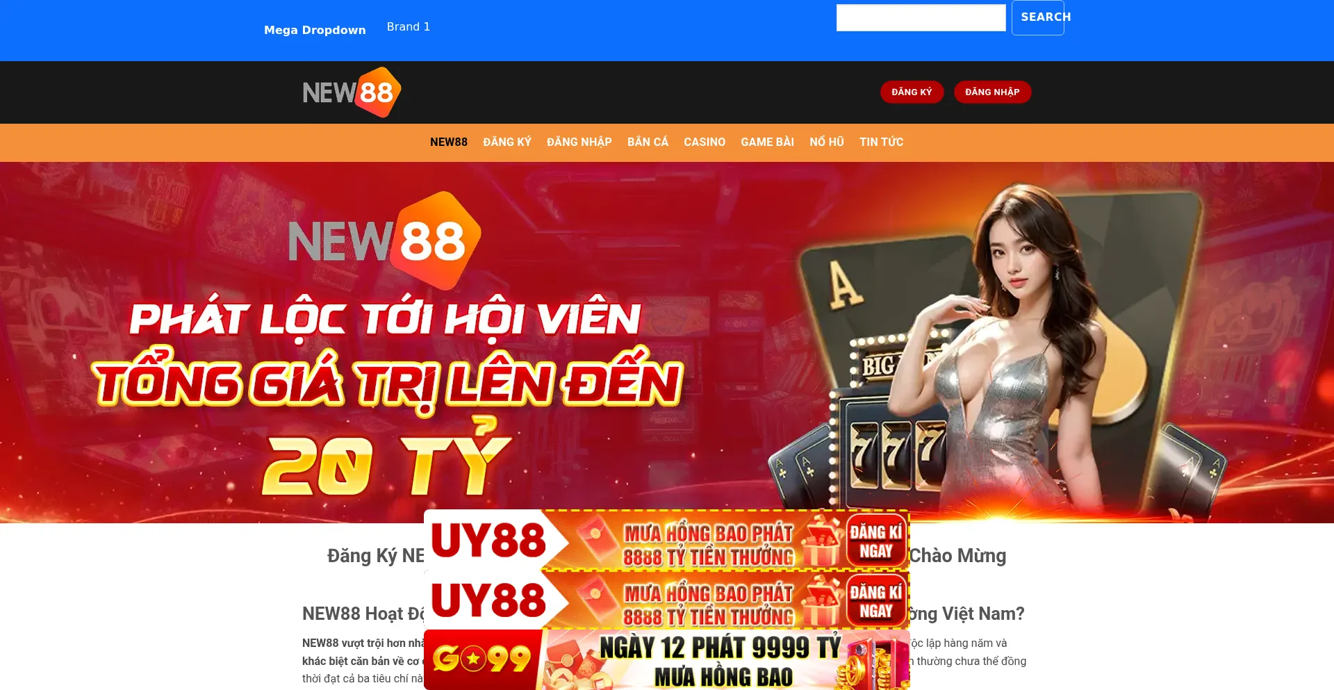 New8848.net