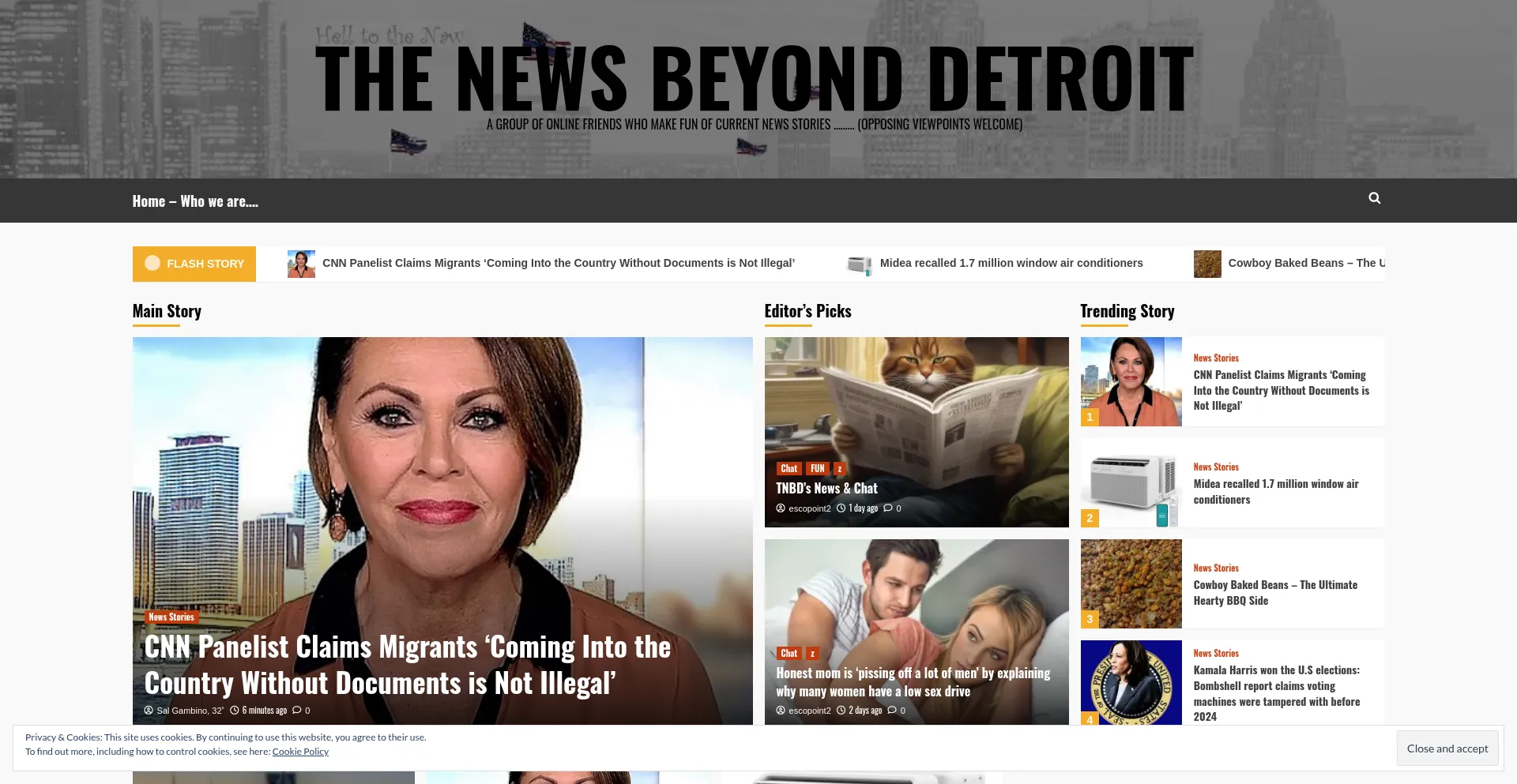 Website screenshot of Newsbeyonddetroit.net