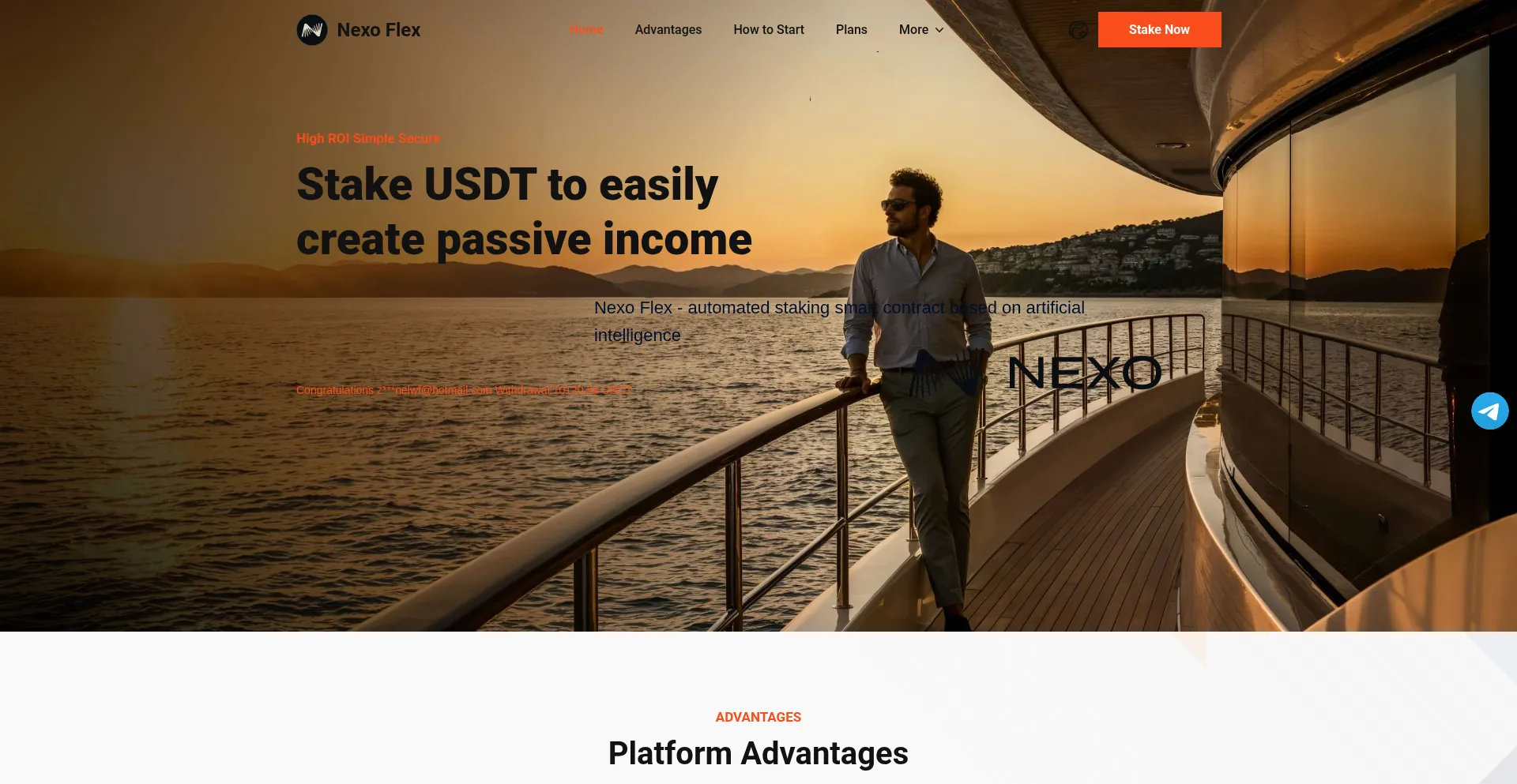 Website screenshot of Nexoflex.org