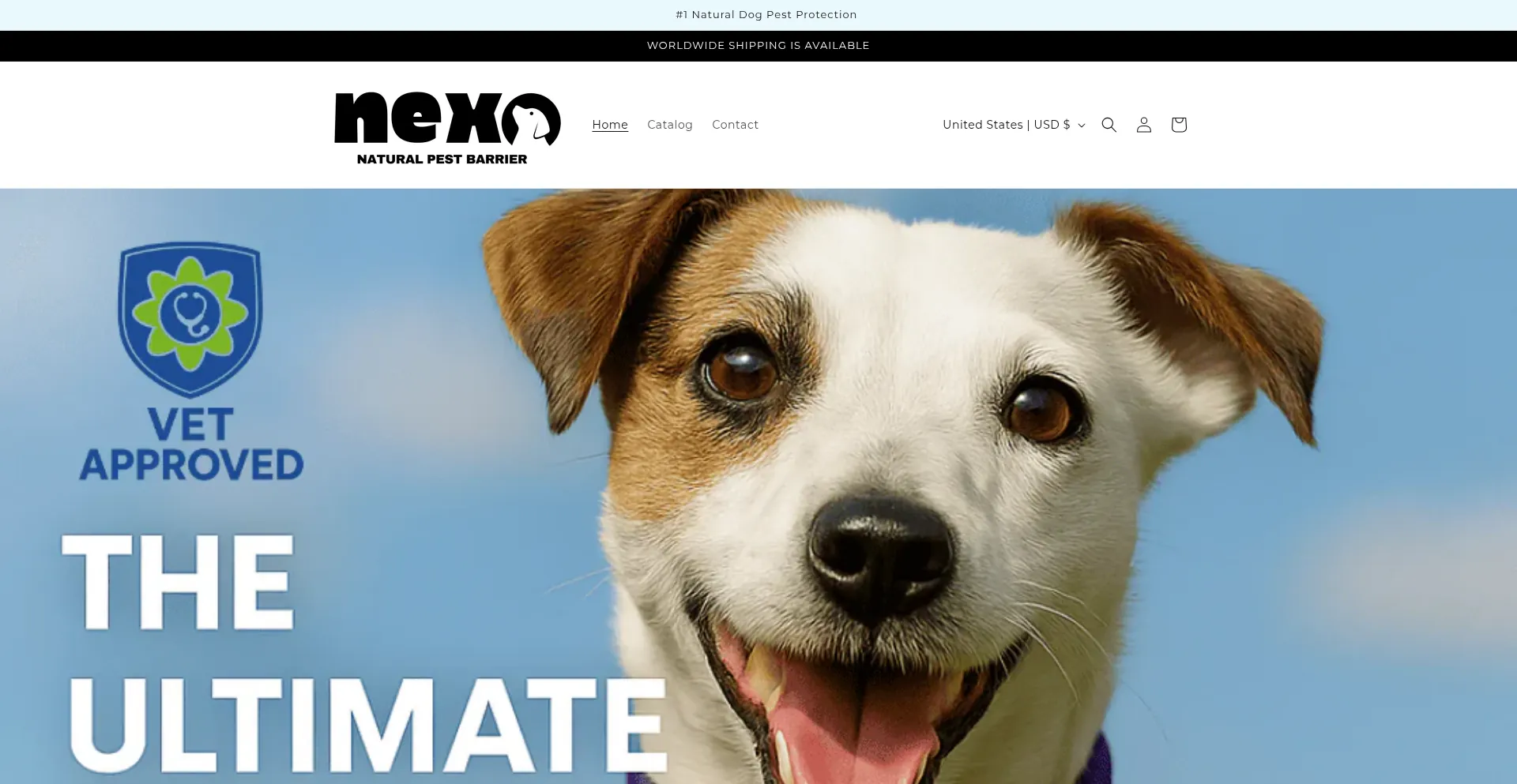 Website screenshot of Nexoww.com