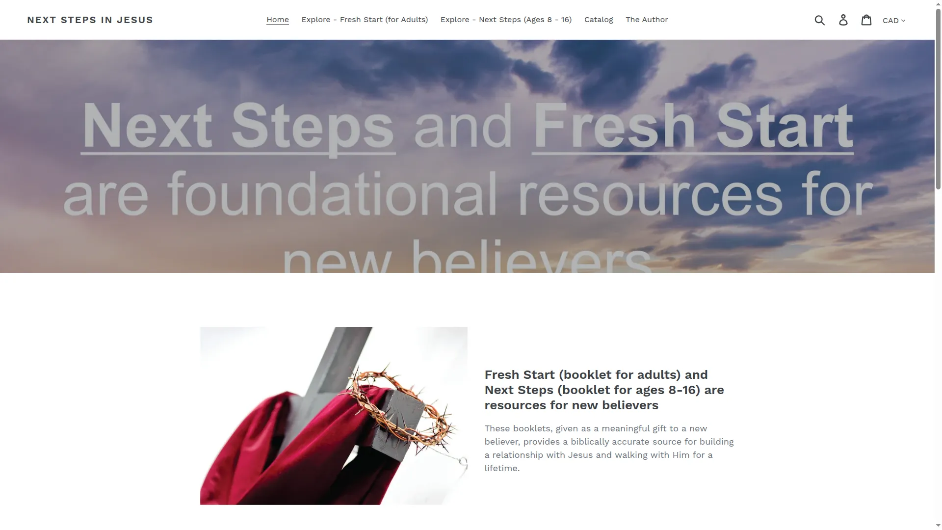 Nextstepsinjesus.com
