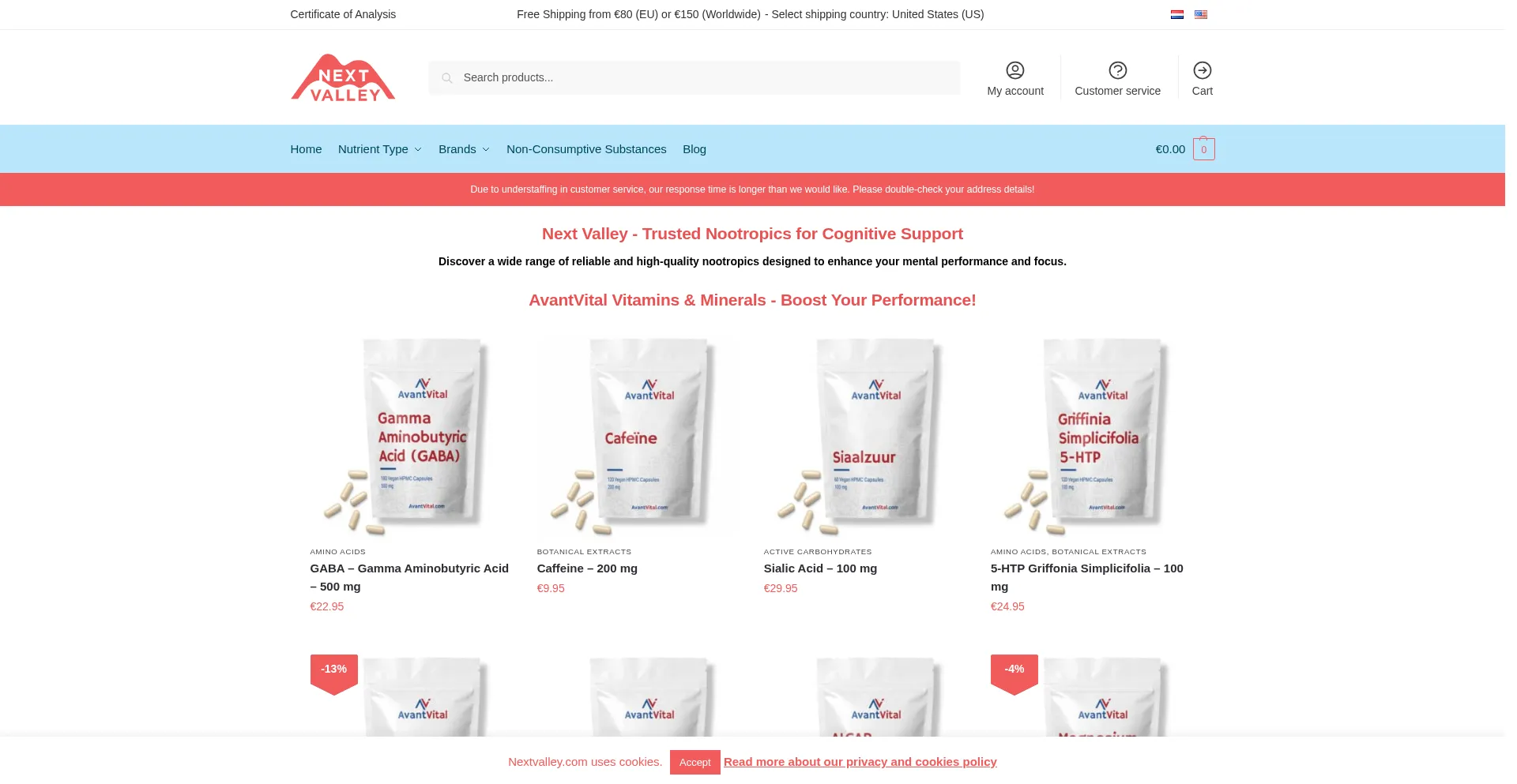 Website screenshot of Nextvalley.com