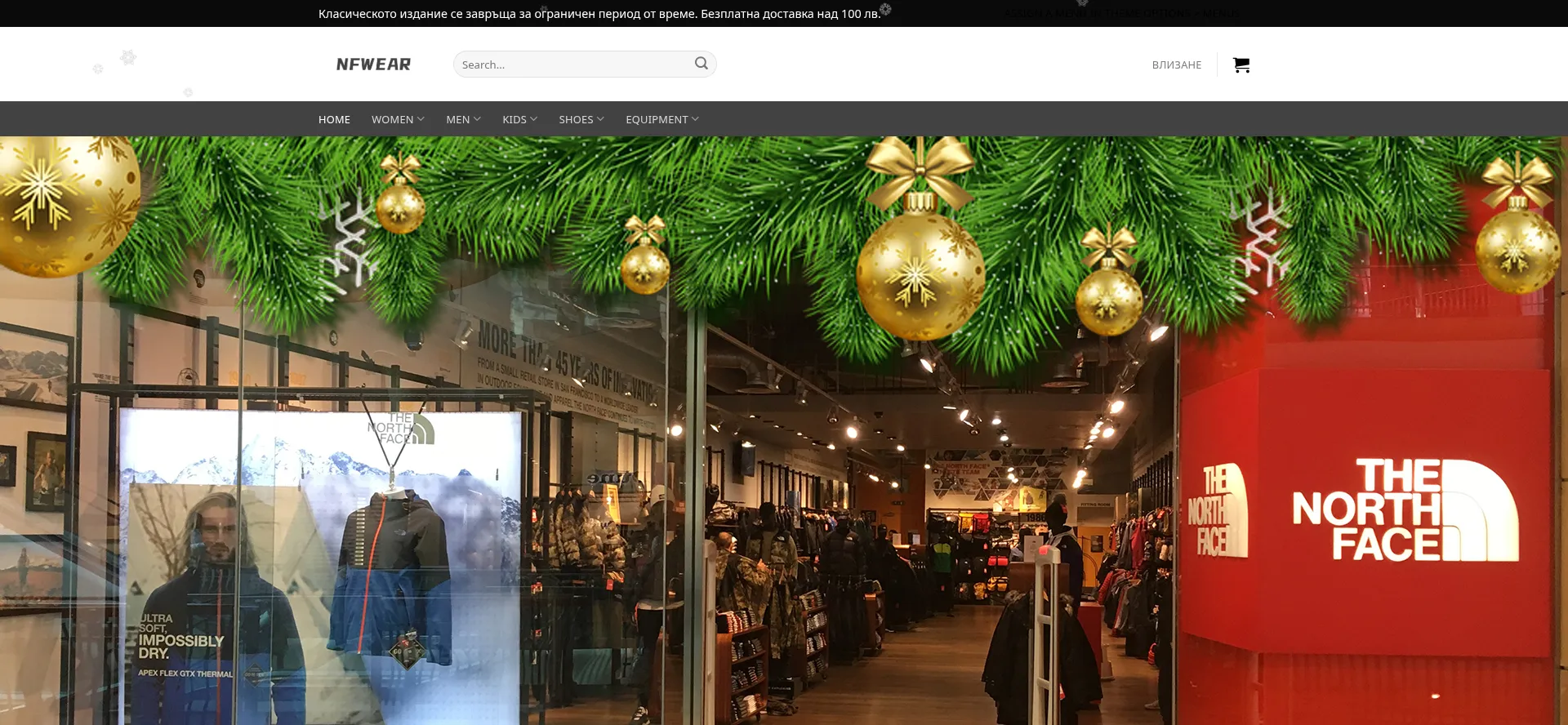 Website screenshot of Nfwnb.com